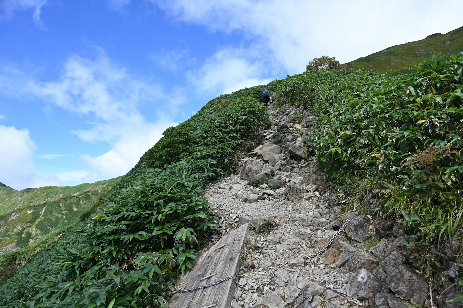 攀登被茂密植被環繞的岩石山坡的登山者