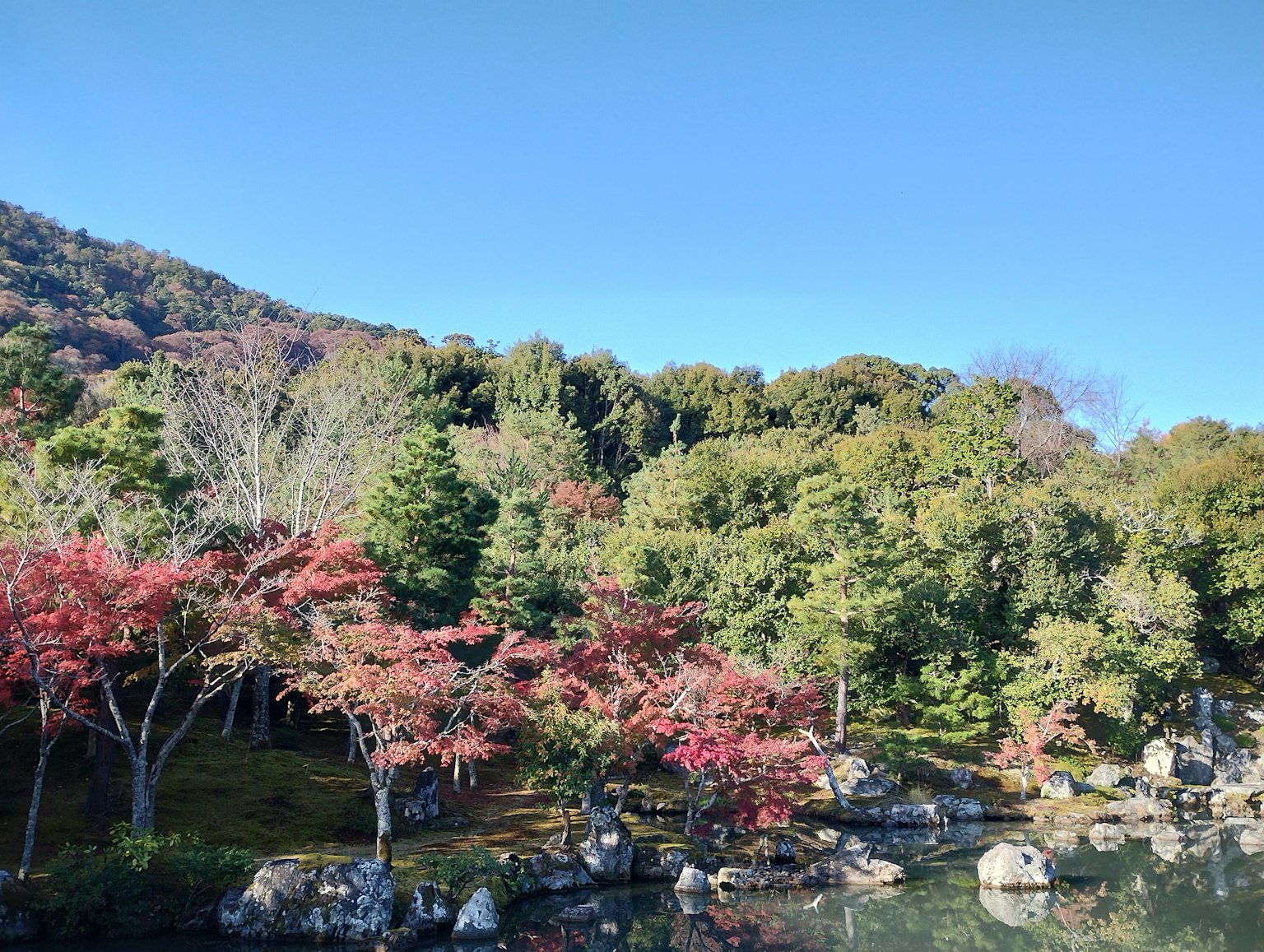 A serene landscape featuring autumn foliage trees and lush greenery