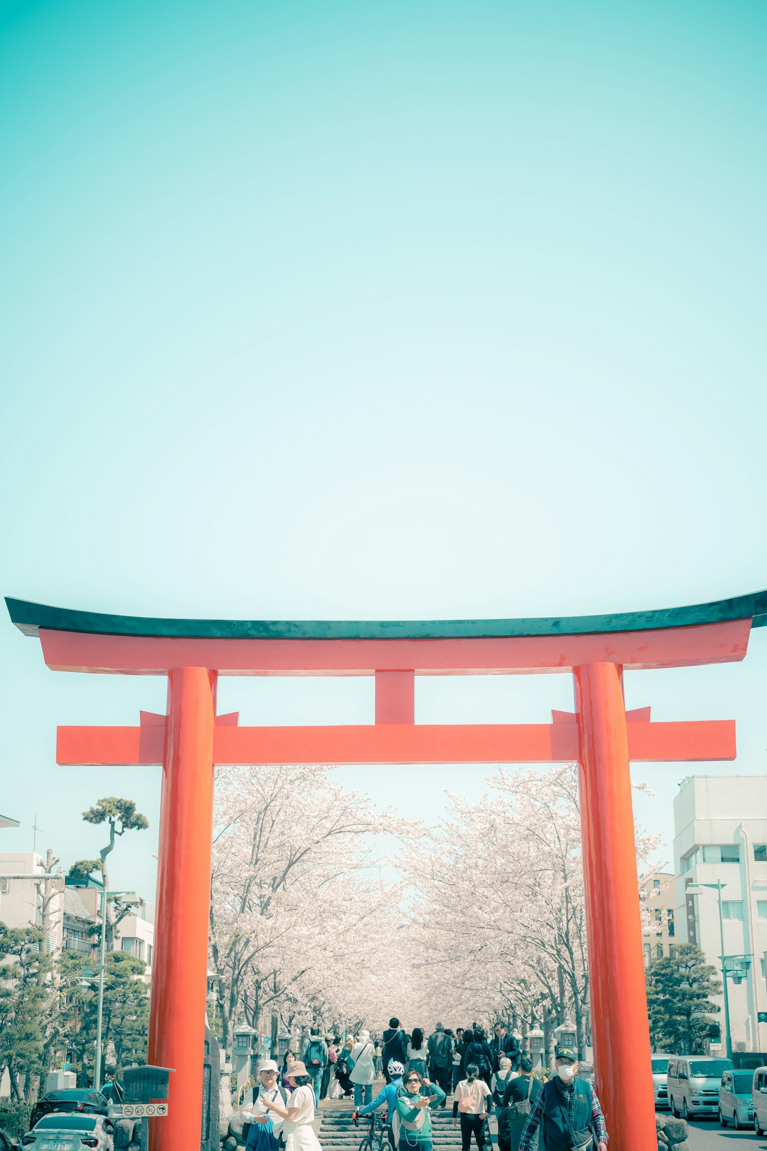 Des gens marchant sous une porte torii rouge avec des cerisiers en fleurs