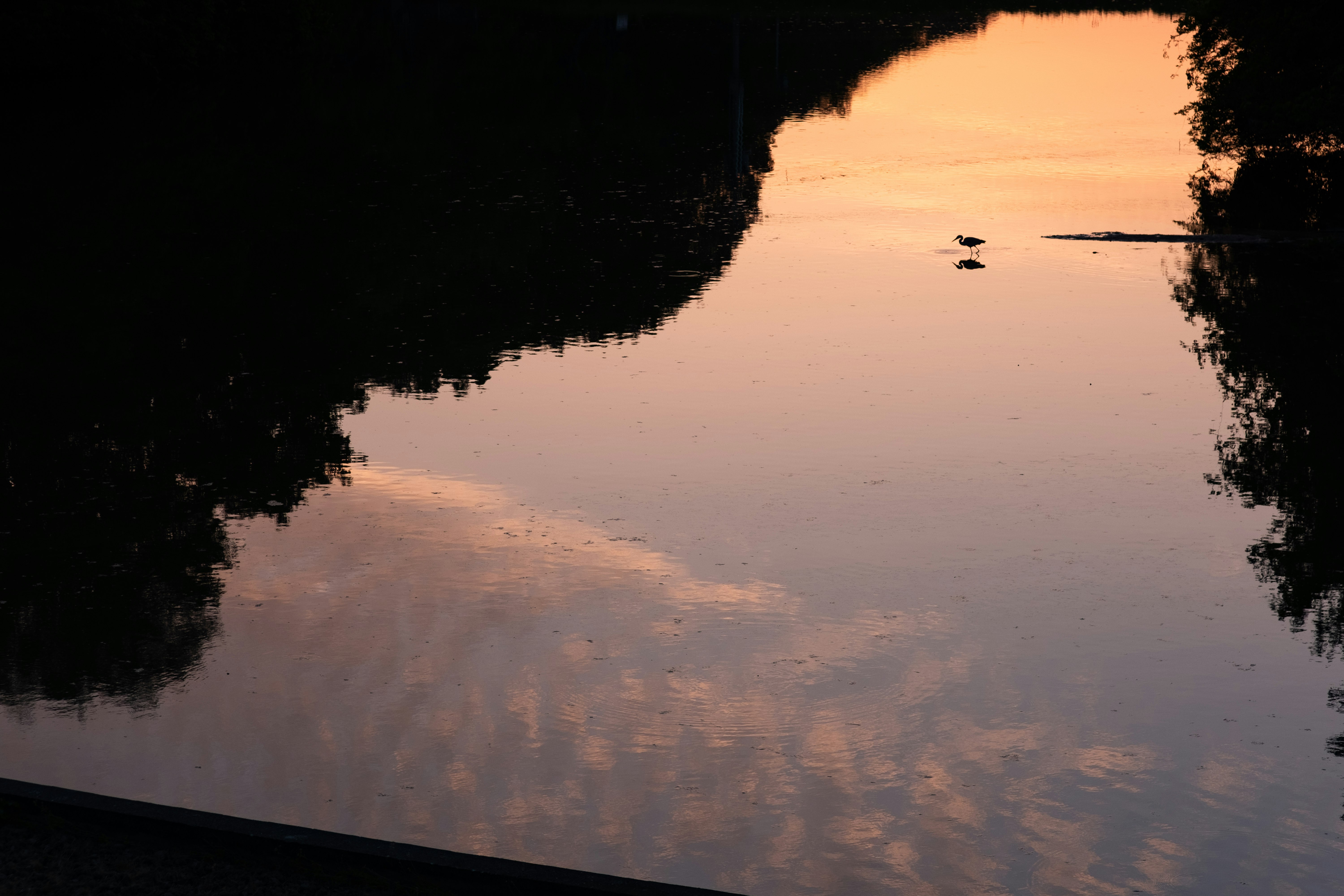 水面に映る夕暮れの川と木々のシルエット