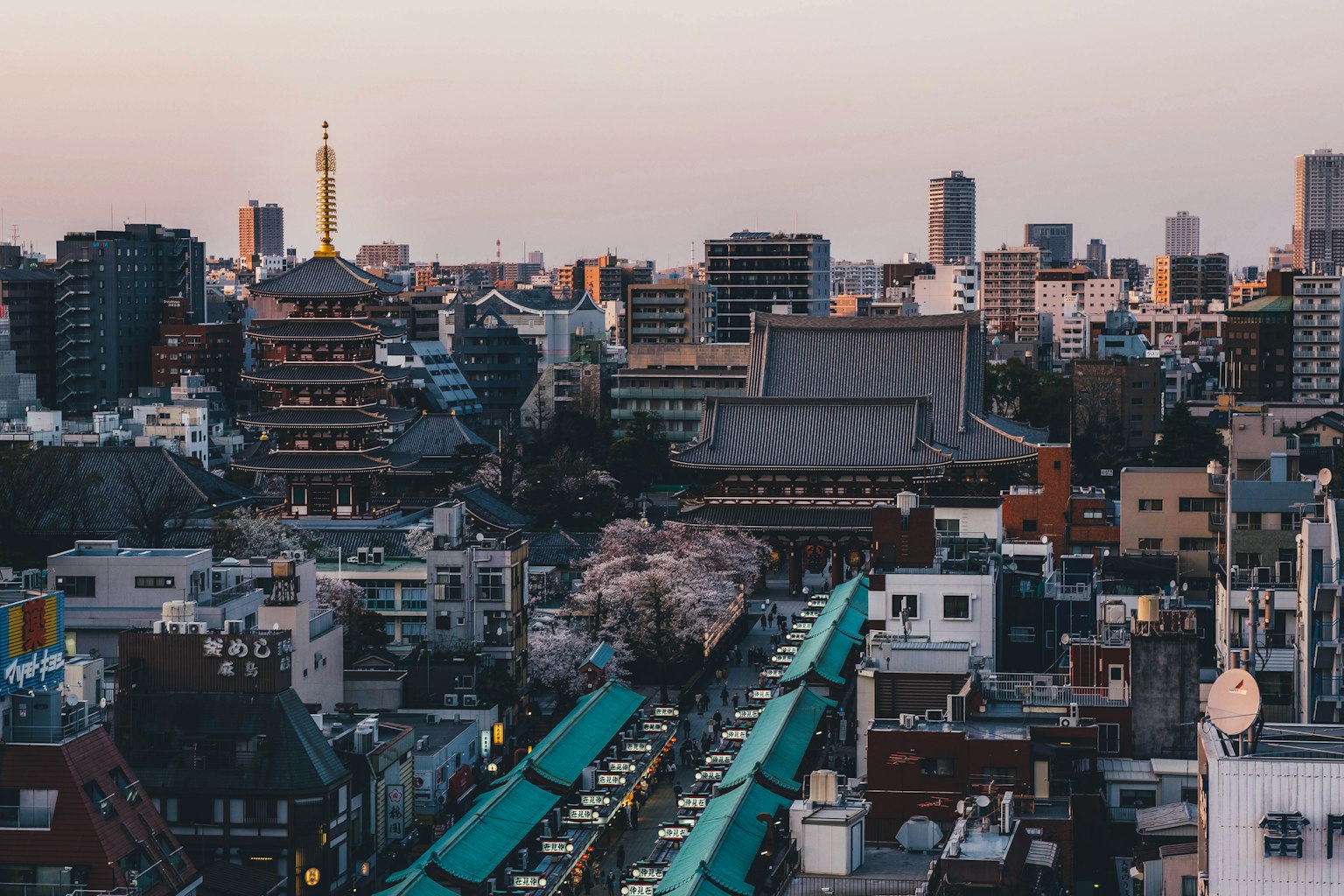 Vista del horizonte de Tokio con árboles de cerezo
