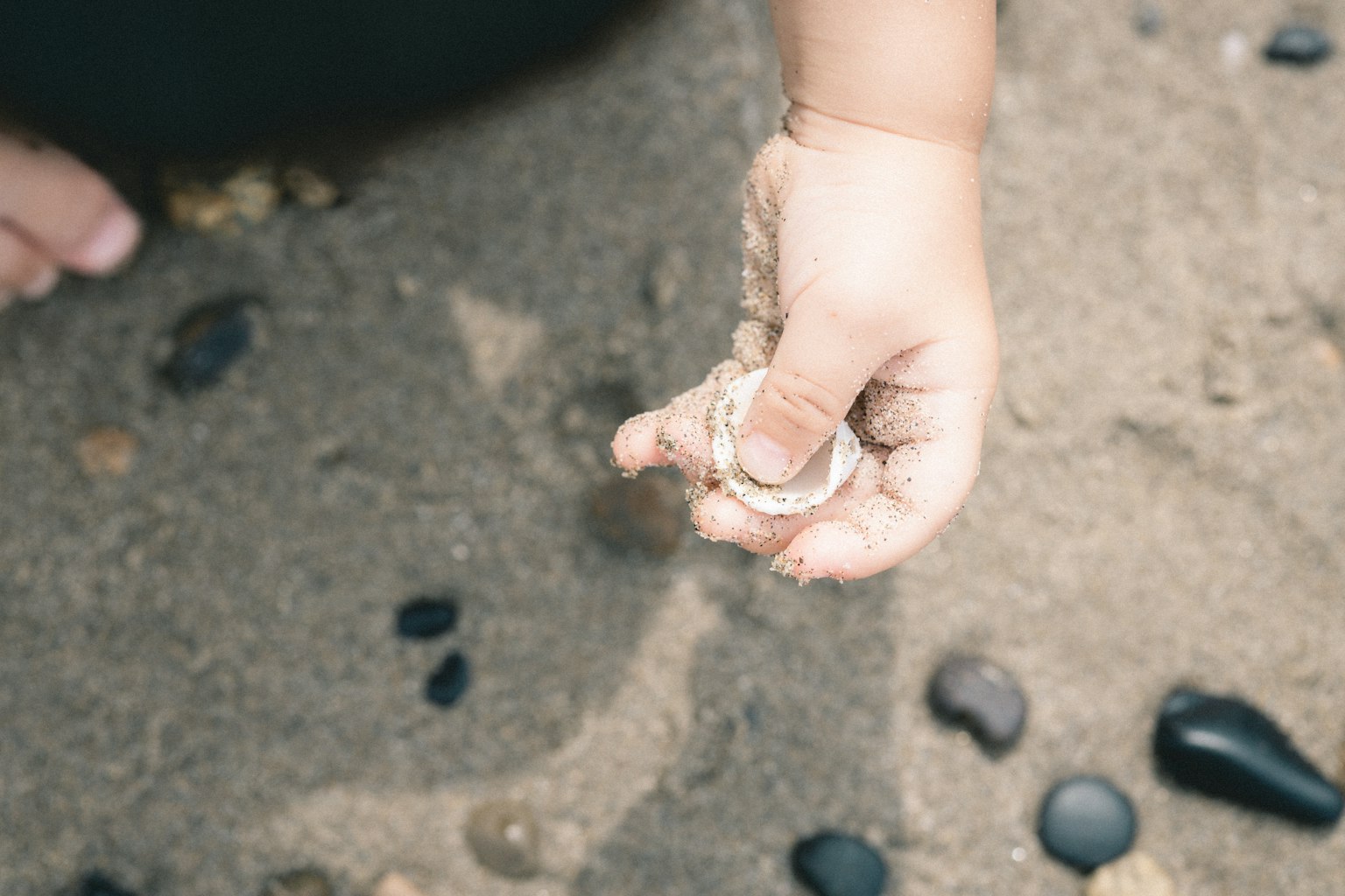 Child's hand holding a seashell on the beach
