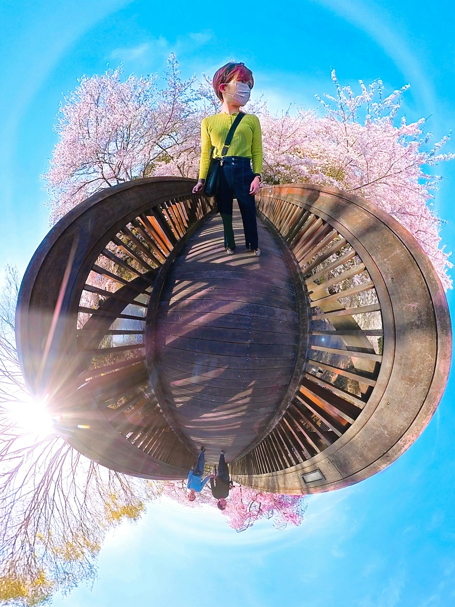 360-degree panorama photo of a person standing under cherry blossom trees and blue sky