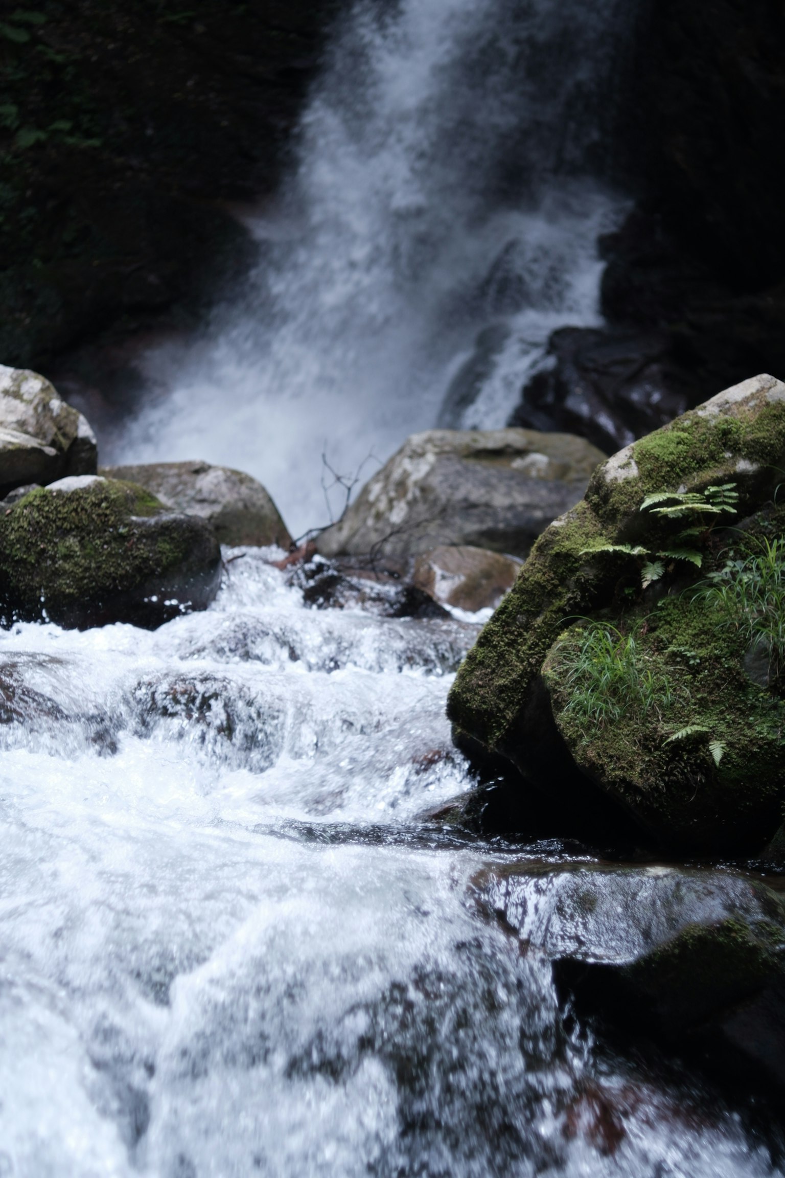 Belle vue de l'eau qui coule près des rochers d'une cascade