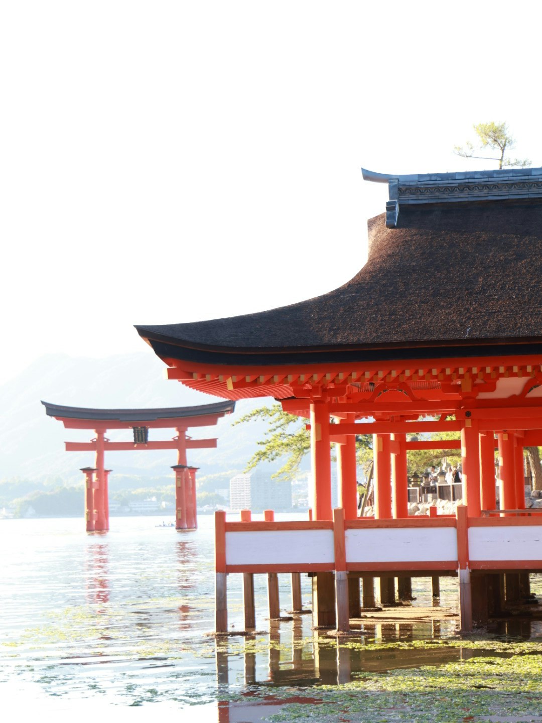 Itsukushima Shrine vermilion torii and pavilion reflected on the sea