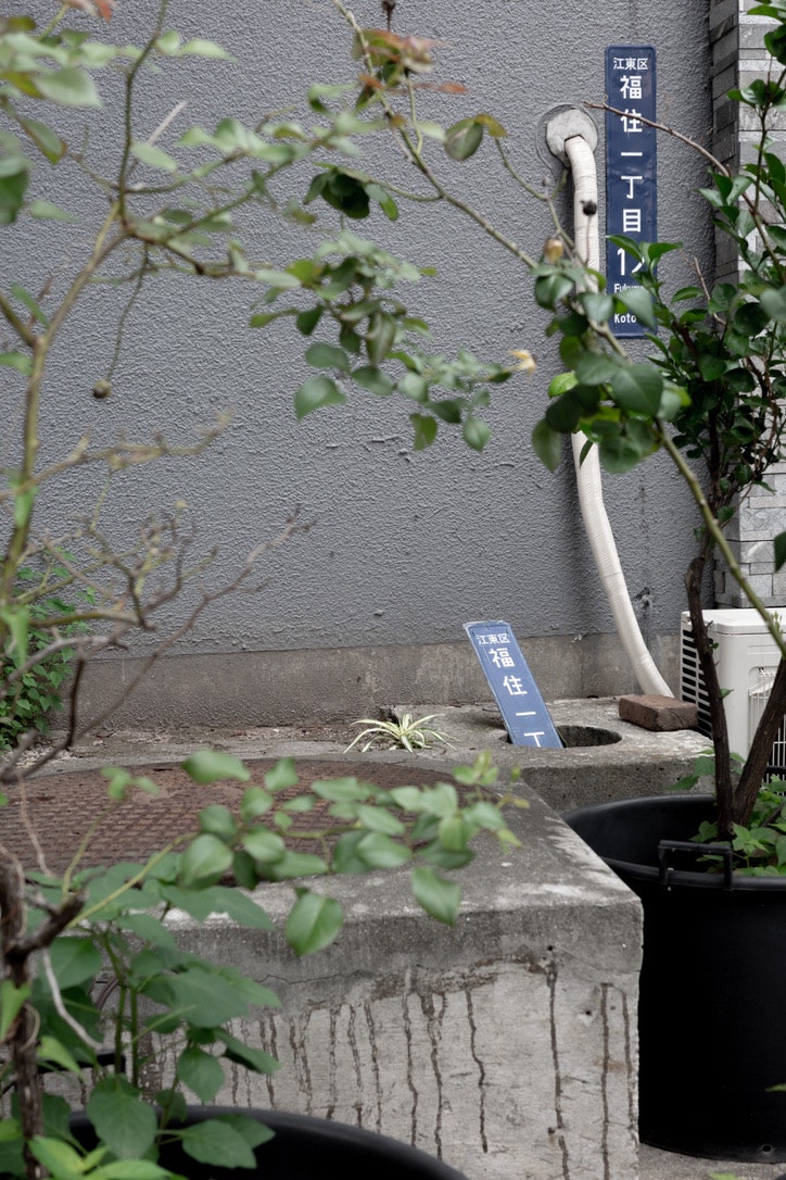 壁沿いに並ぶ植木鉢と小さな案内プレートのある庭先