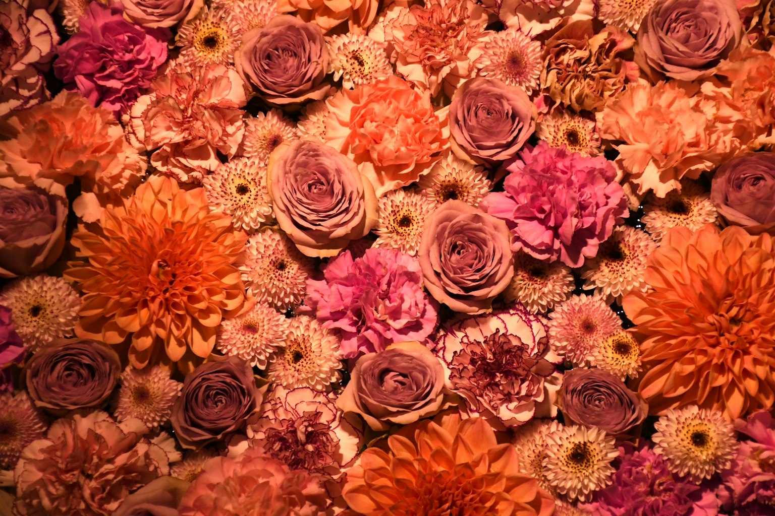 Ein lebhaftes Arrangement verschiedener Blumen in Rosa- und Orangetönen