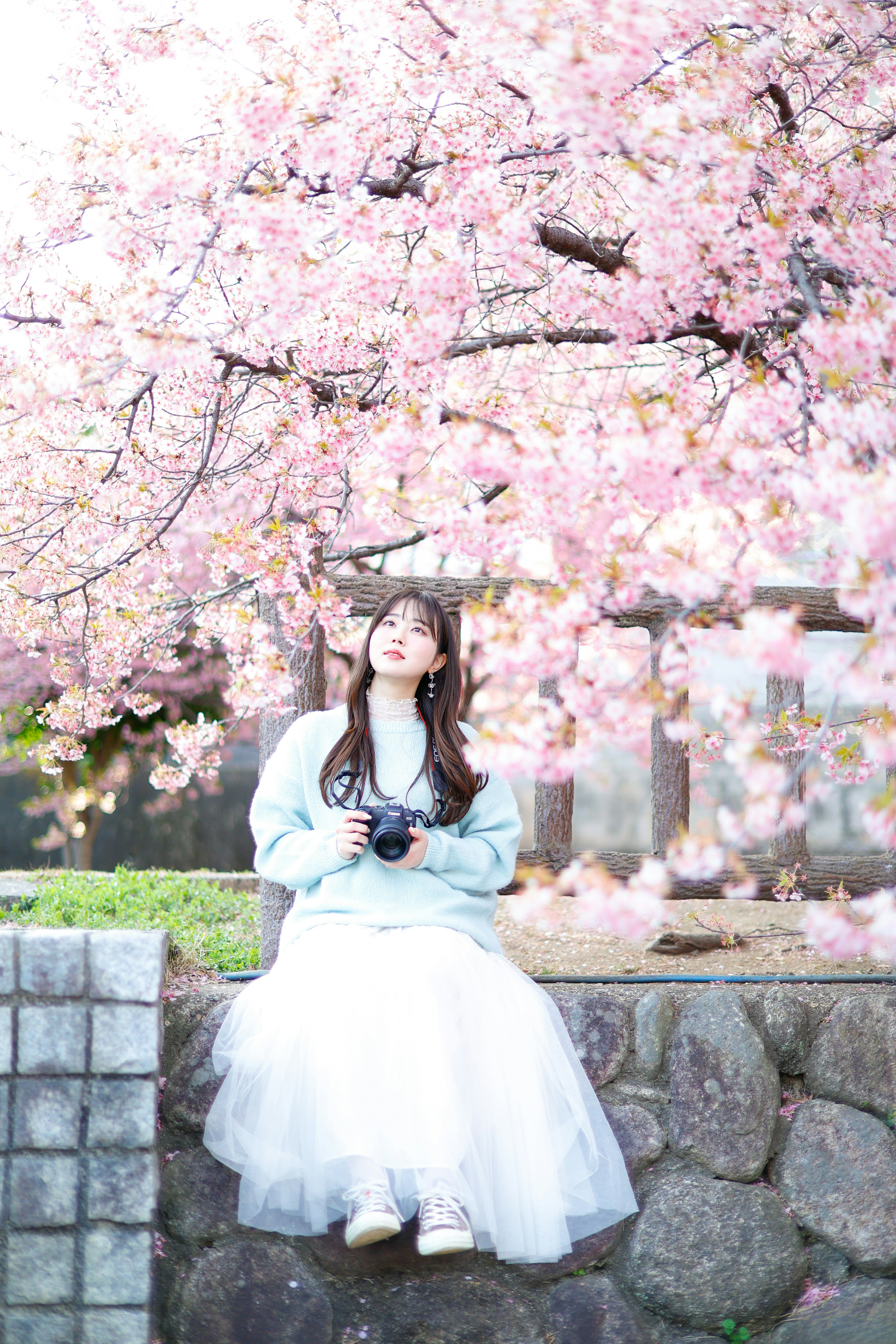 河津桜の並木の前でカメラを持つ女性の自然体な瞬間
