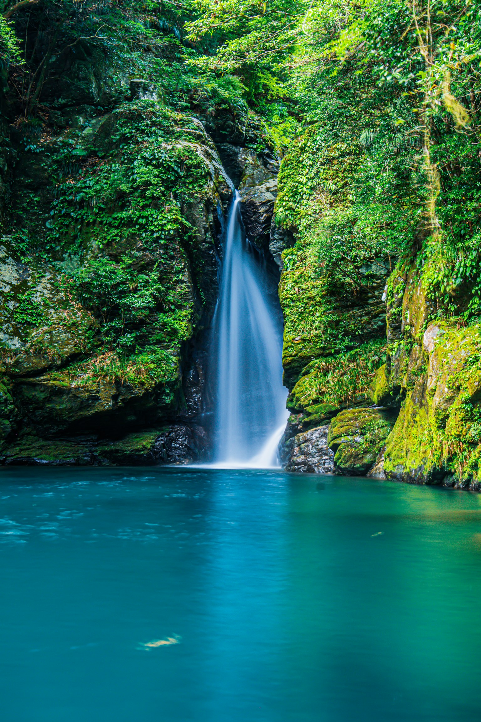 Sebuah air terjun indah dikelilingi oleh dedaunan hijau subur dan air berwarna turquoise