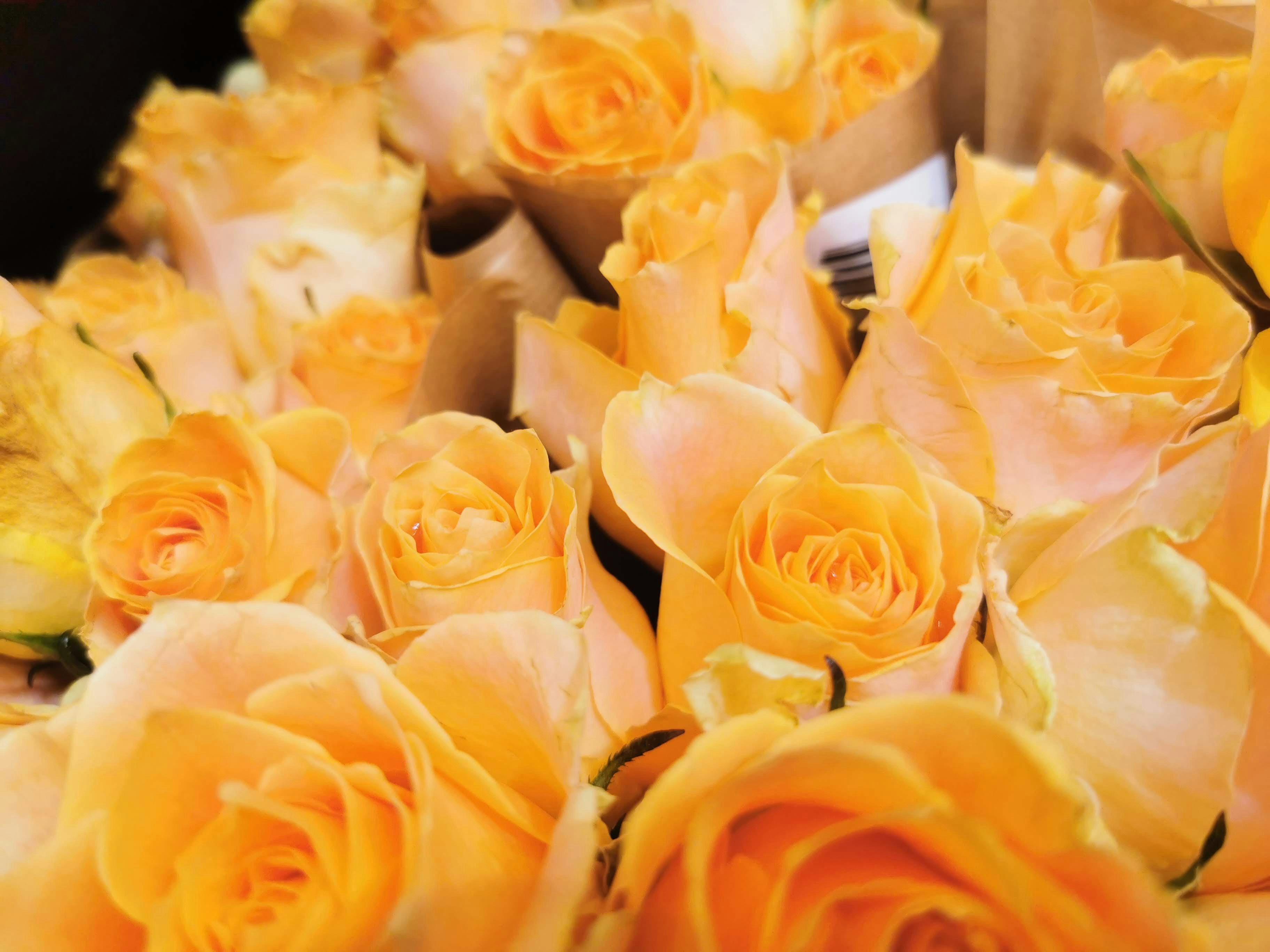 オレンジ色のバラの花束のクローズアップ