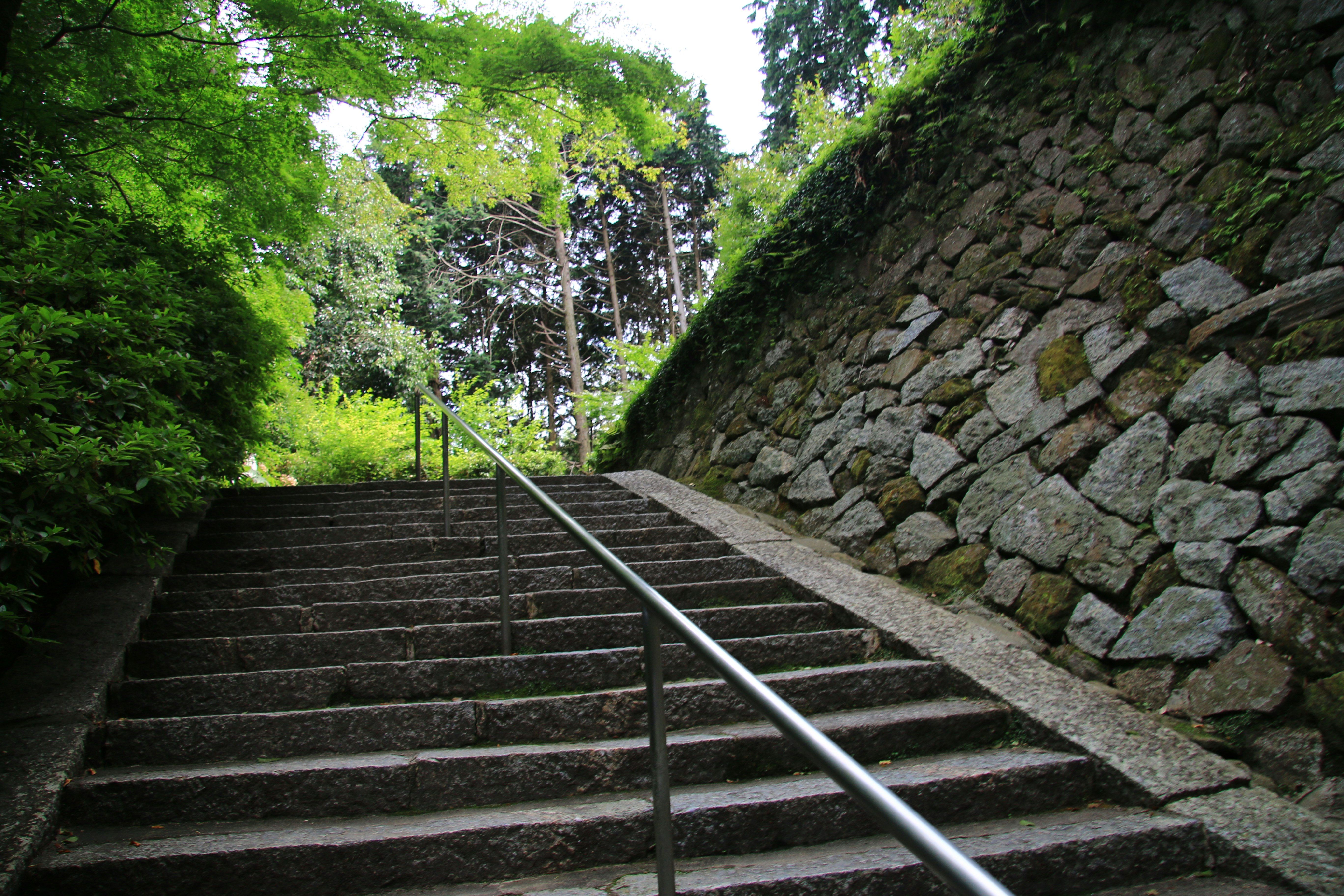 石垣の坂道と階段のある緑の小道