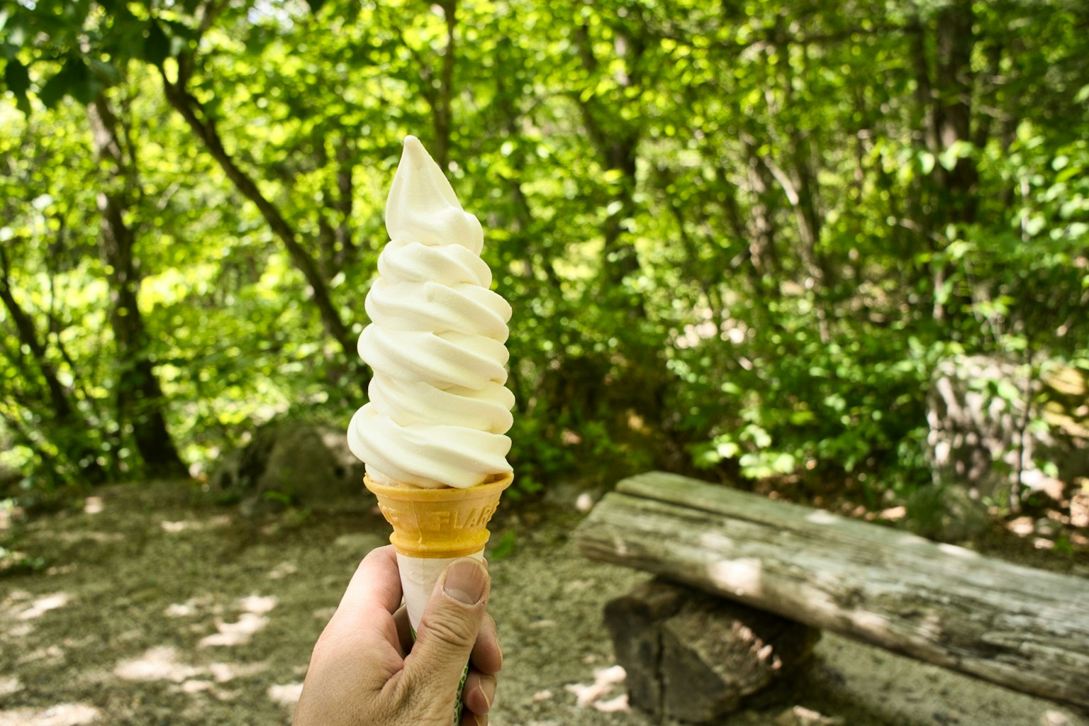 Tangan memegang cone es krim lembut di hutan hijau