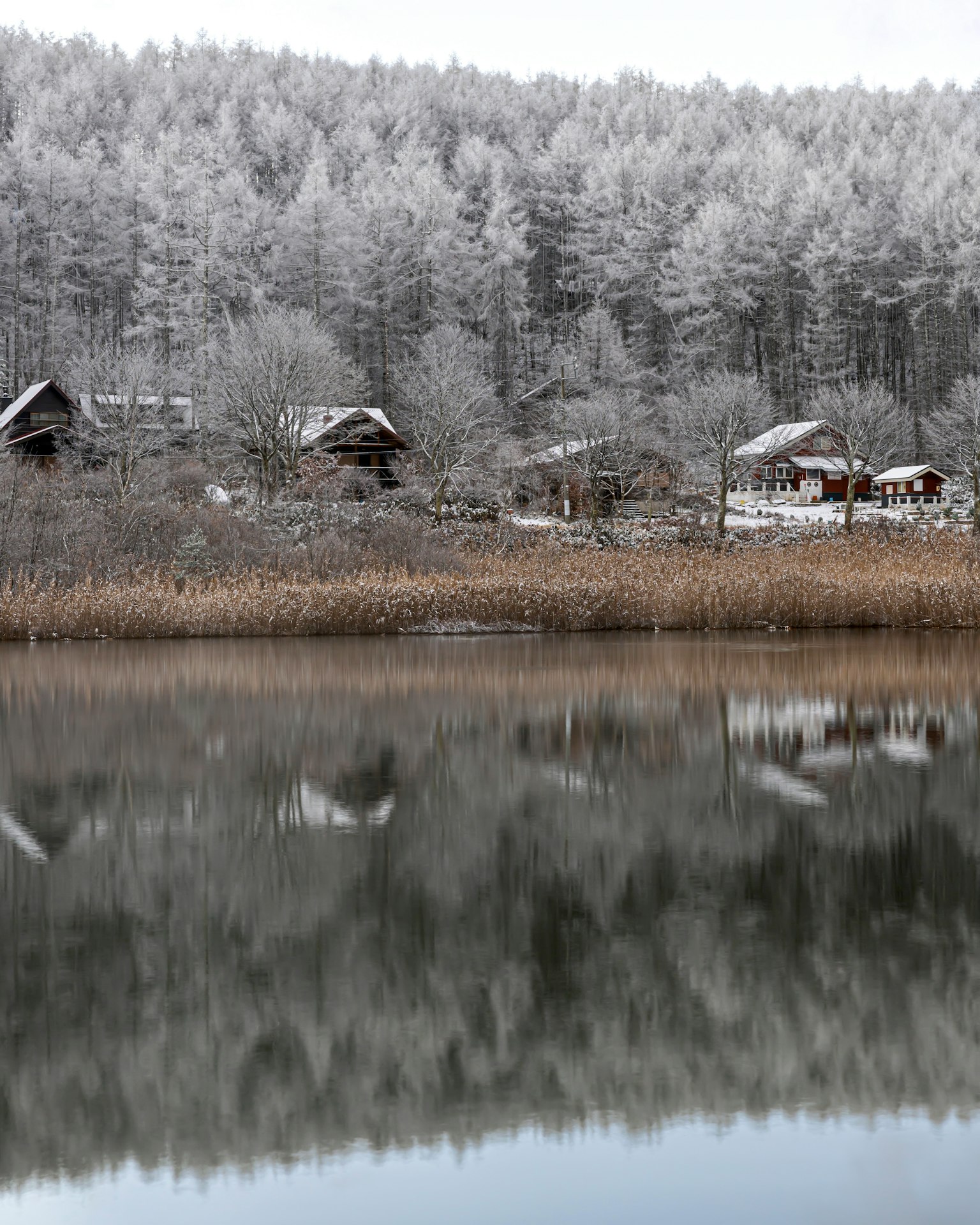 Scène de lac tranquille avec des cottages et une forêt enneigée