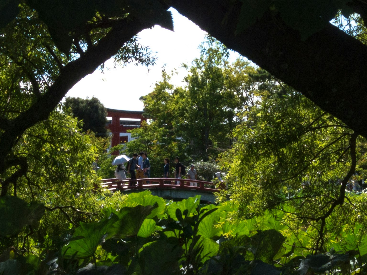 Blick auf eine Brücke und Menschen durch grüne Bäume