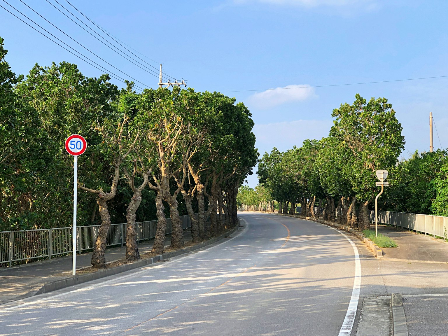 Kurvenstraße umgeben von üppigen grünen Bäumen und blauem Himmel