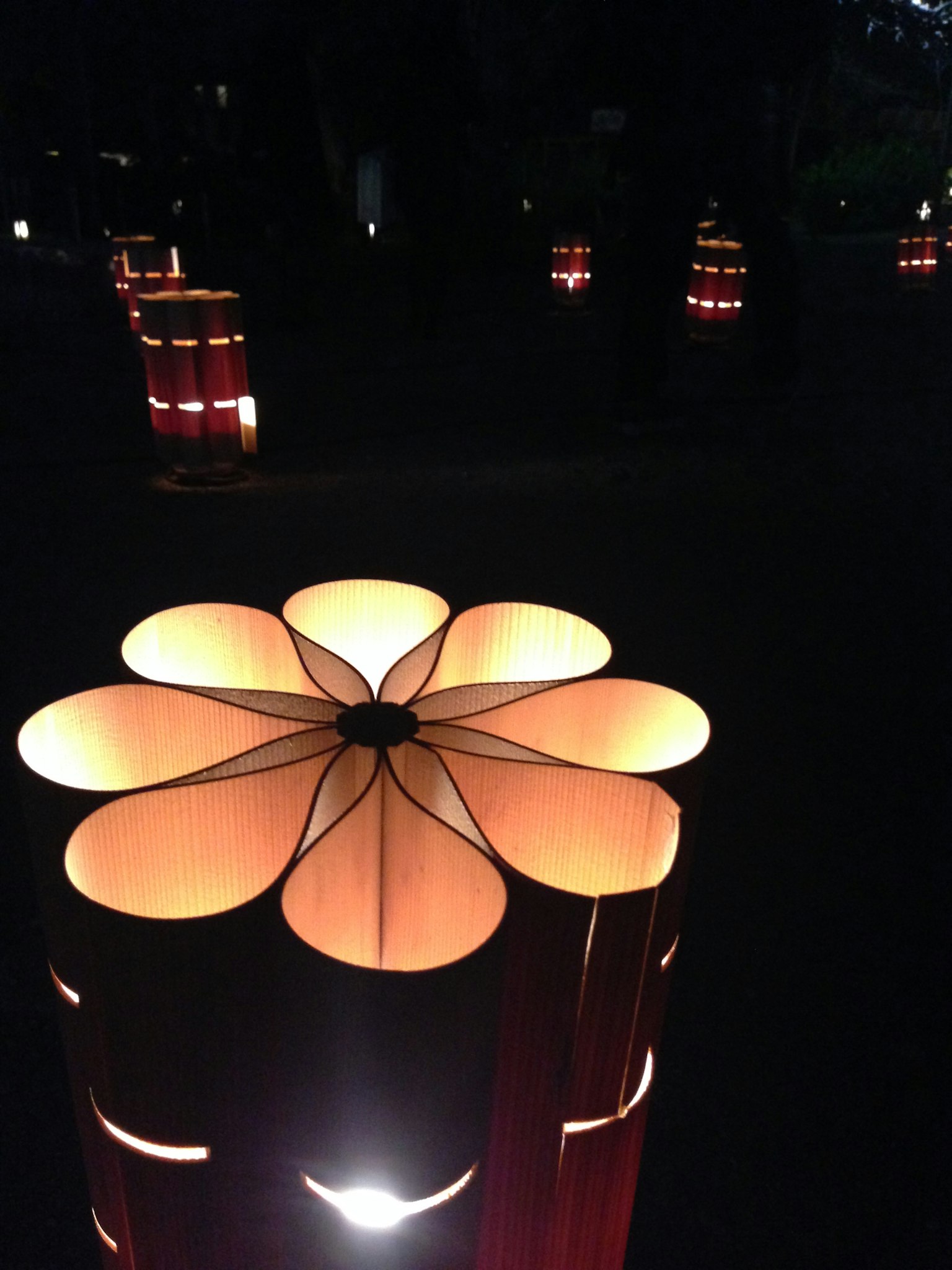 Lanternes en forme de fleur illuminées sur fond sombre