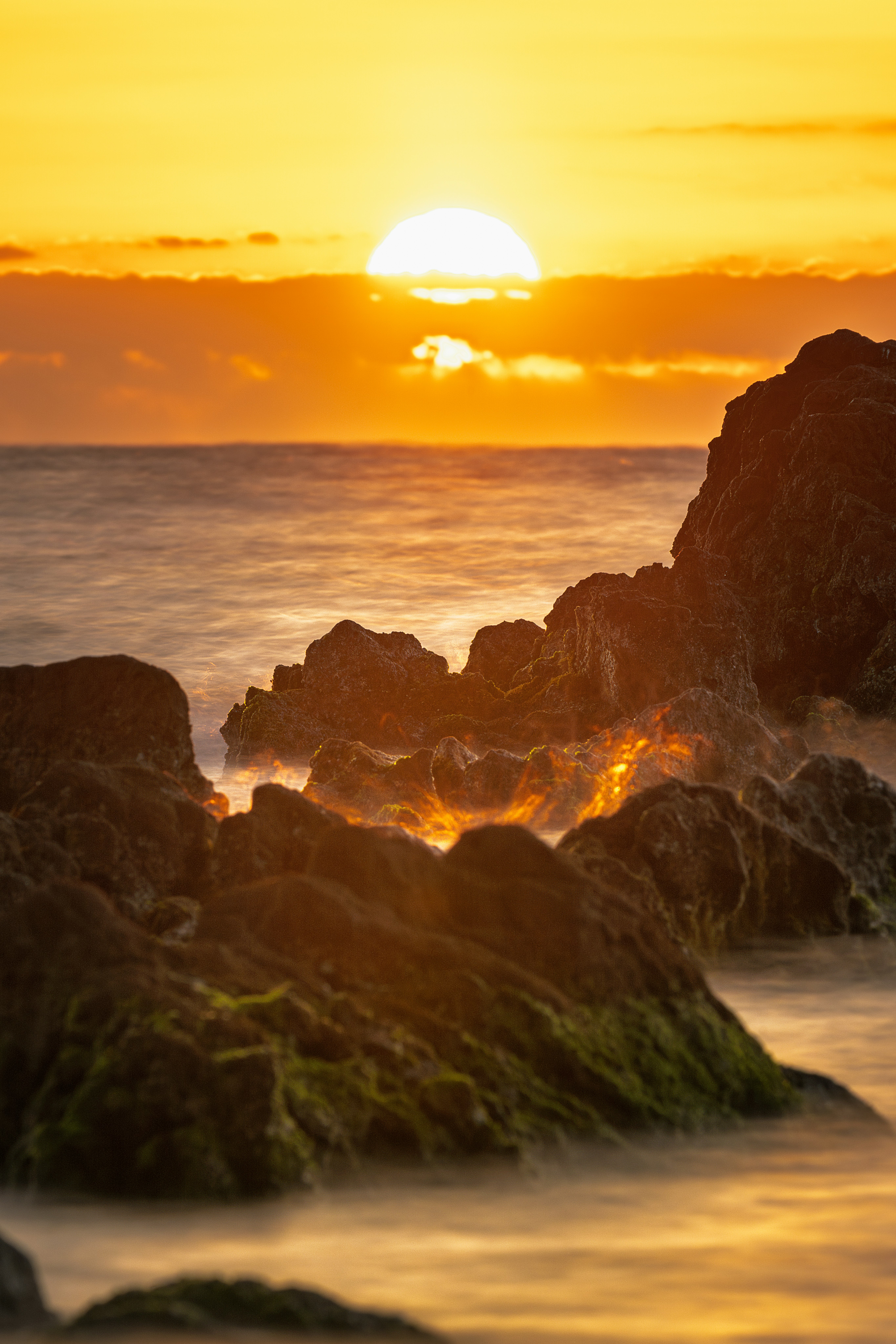 photo-aso8XRPmEC3Mmcc91eqT-image