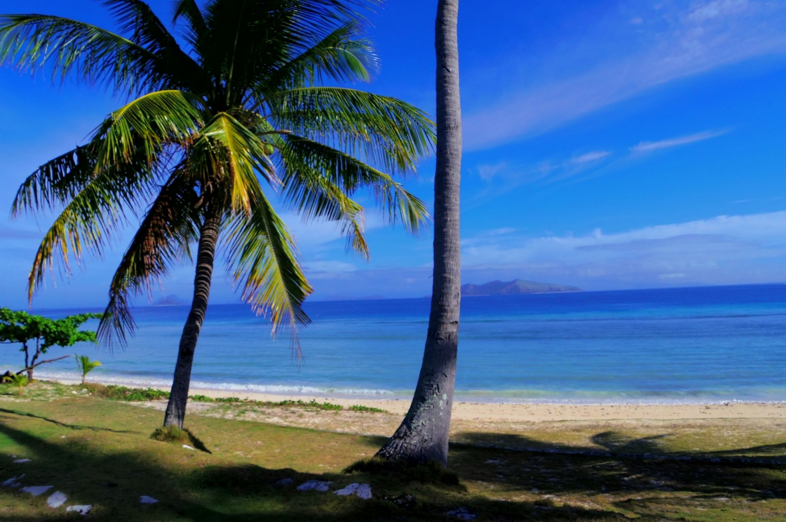 Palmeras en una playa de arena con océano y cielo azul claro