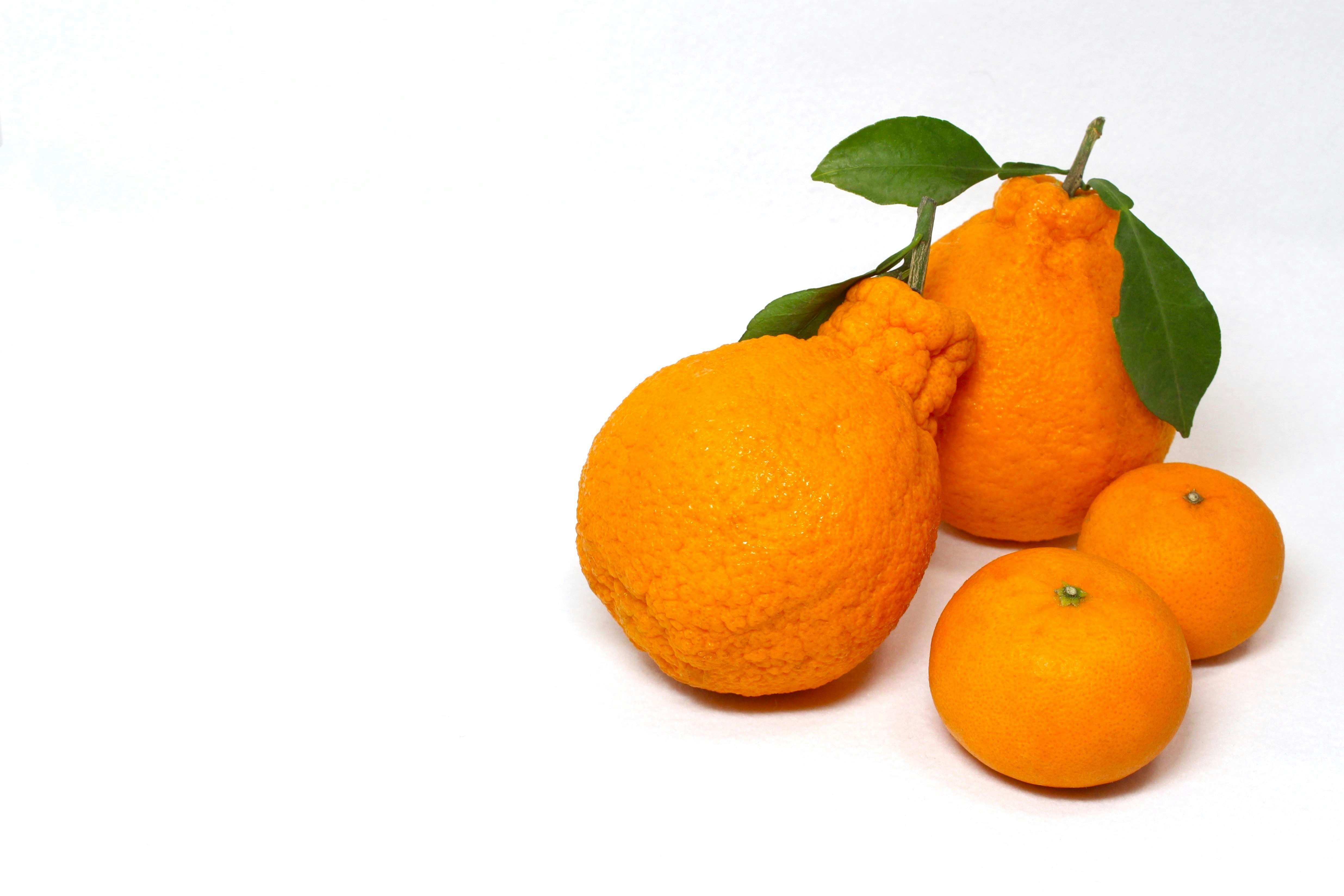 kumpulan buah jeruk berwarna oranye