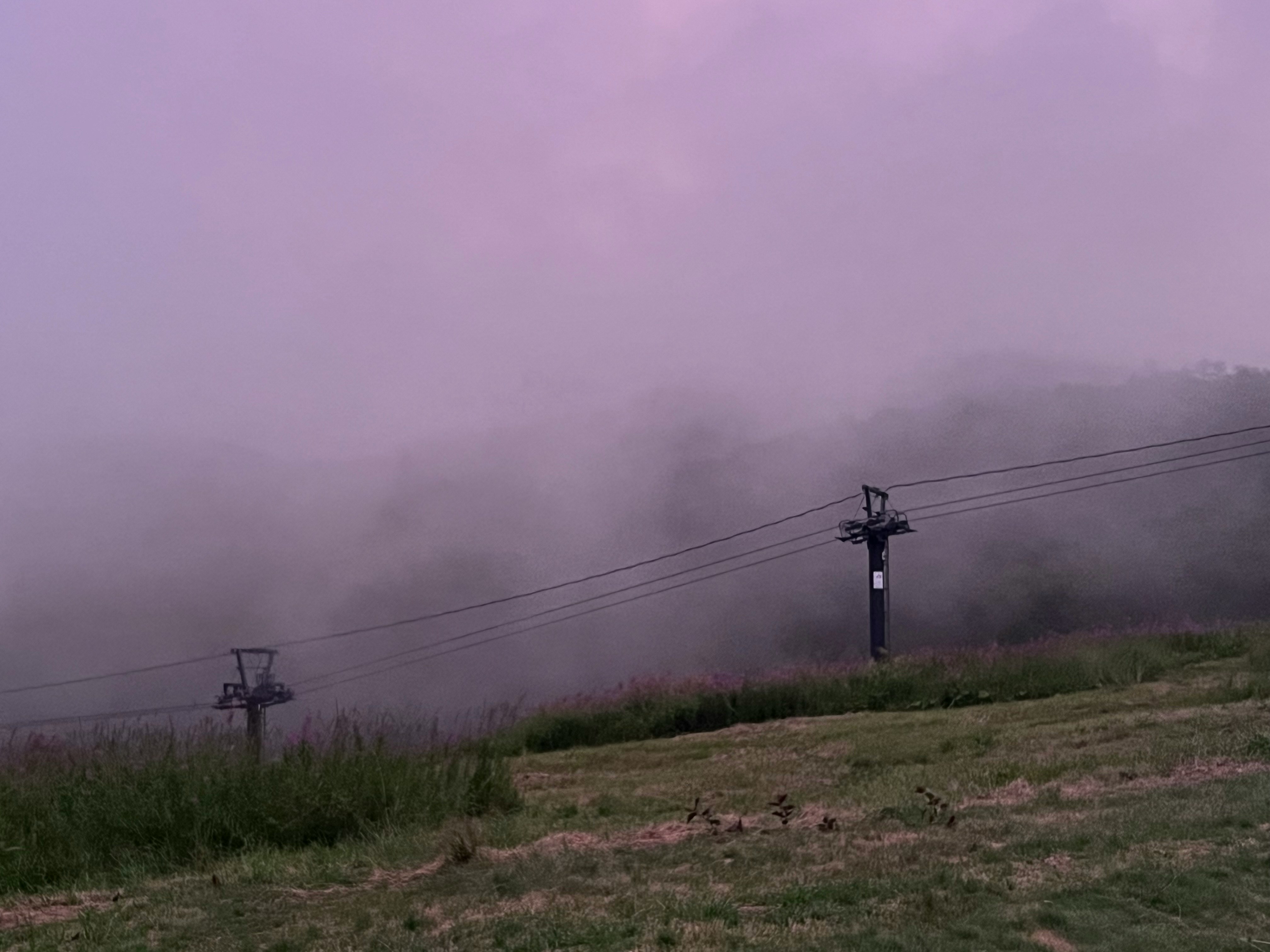 霧の中の草地と電線