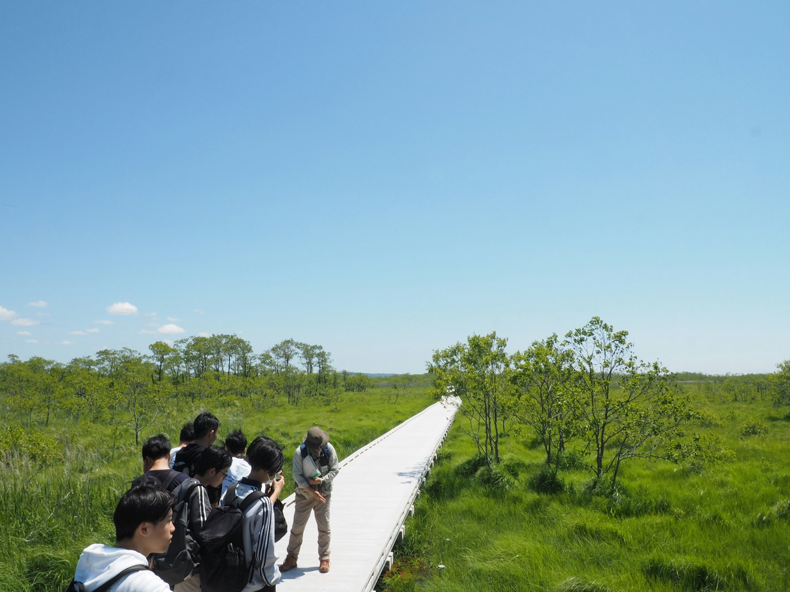 在藍天下濕地上的人們走在木棧道上