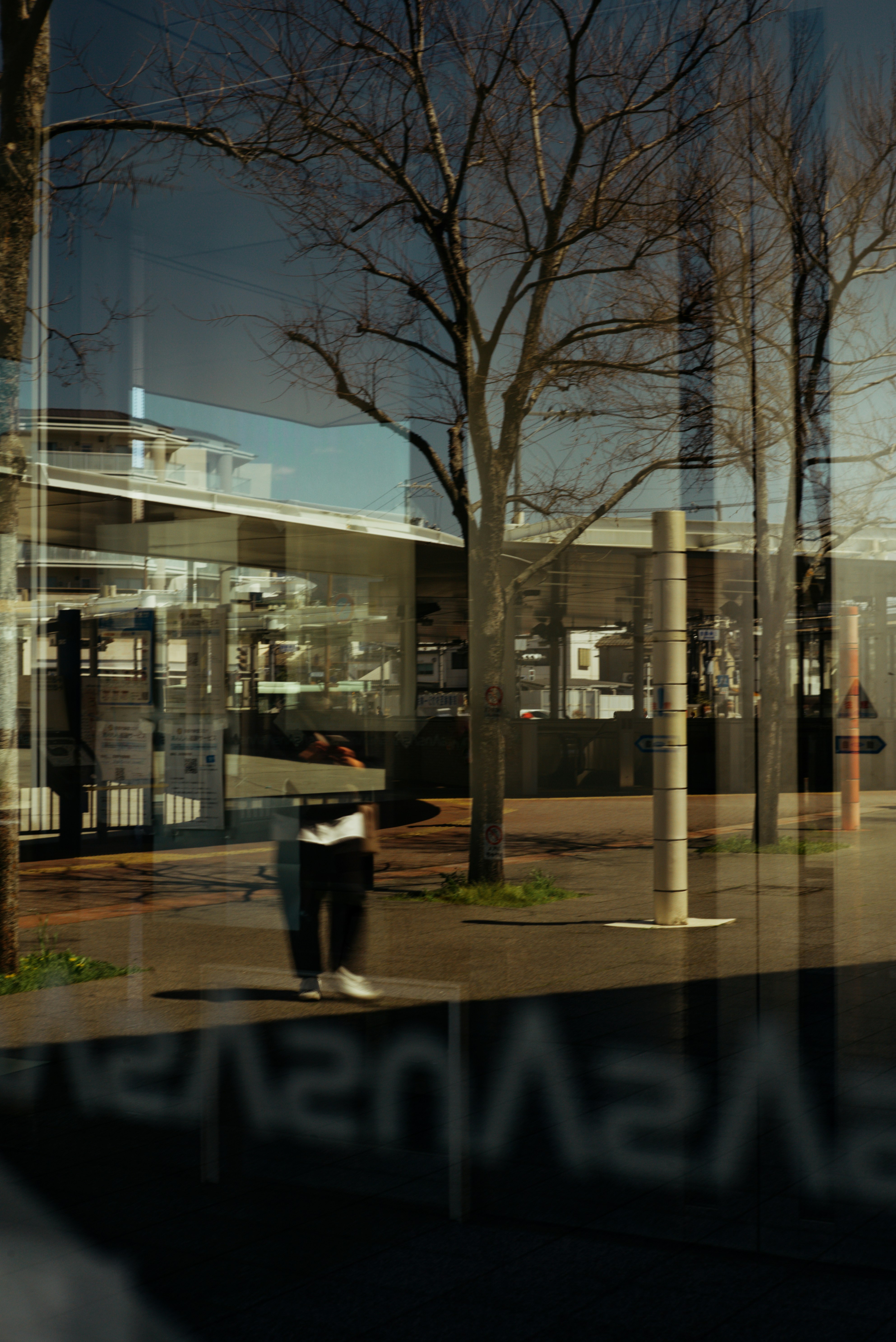 photo-atZe5wdgoe0939Qy6bTR-image