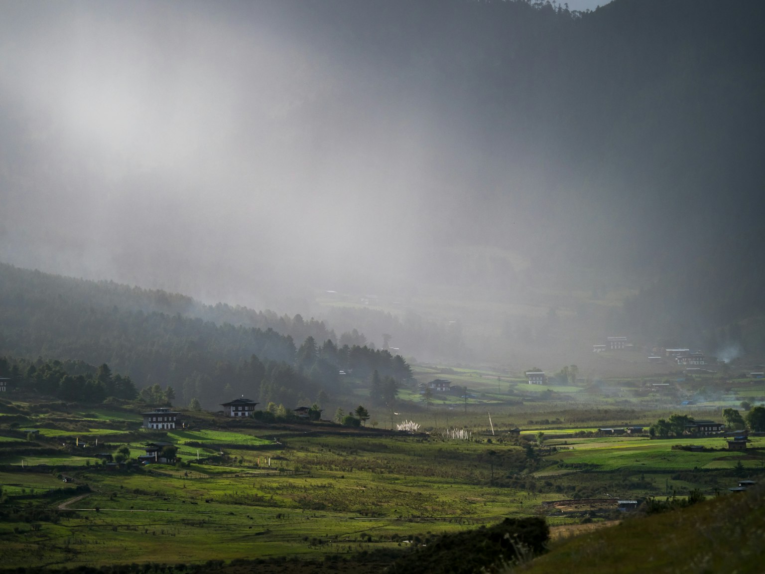 Misty landscape with lush green fields and distant mountains