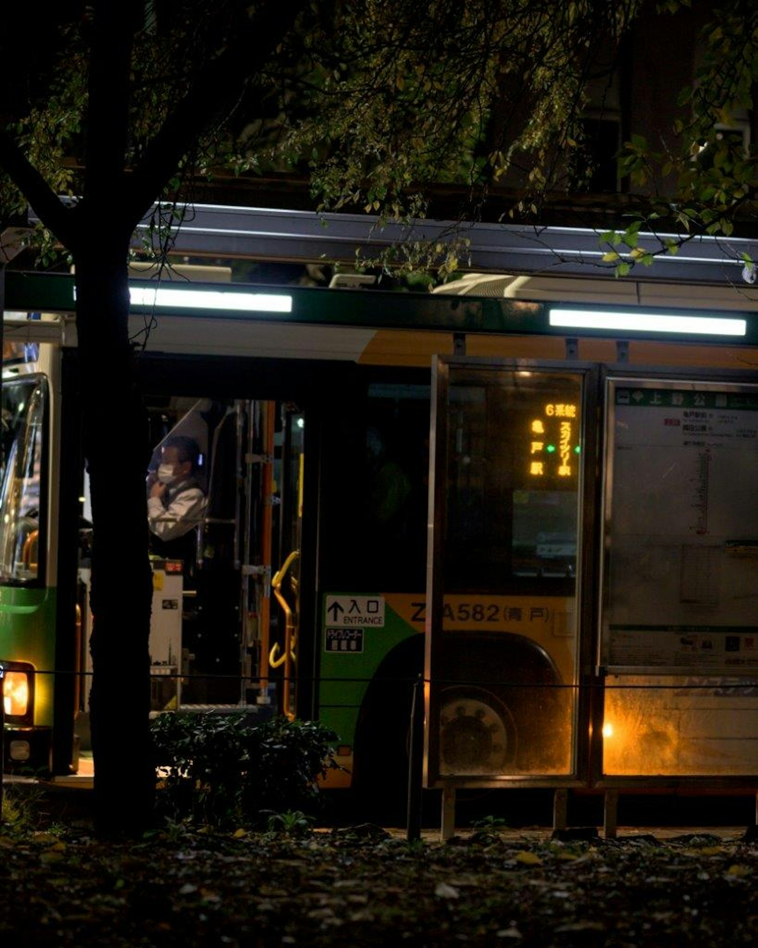 Un bus vert garé dans l'obscurité avec des arbres autour
