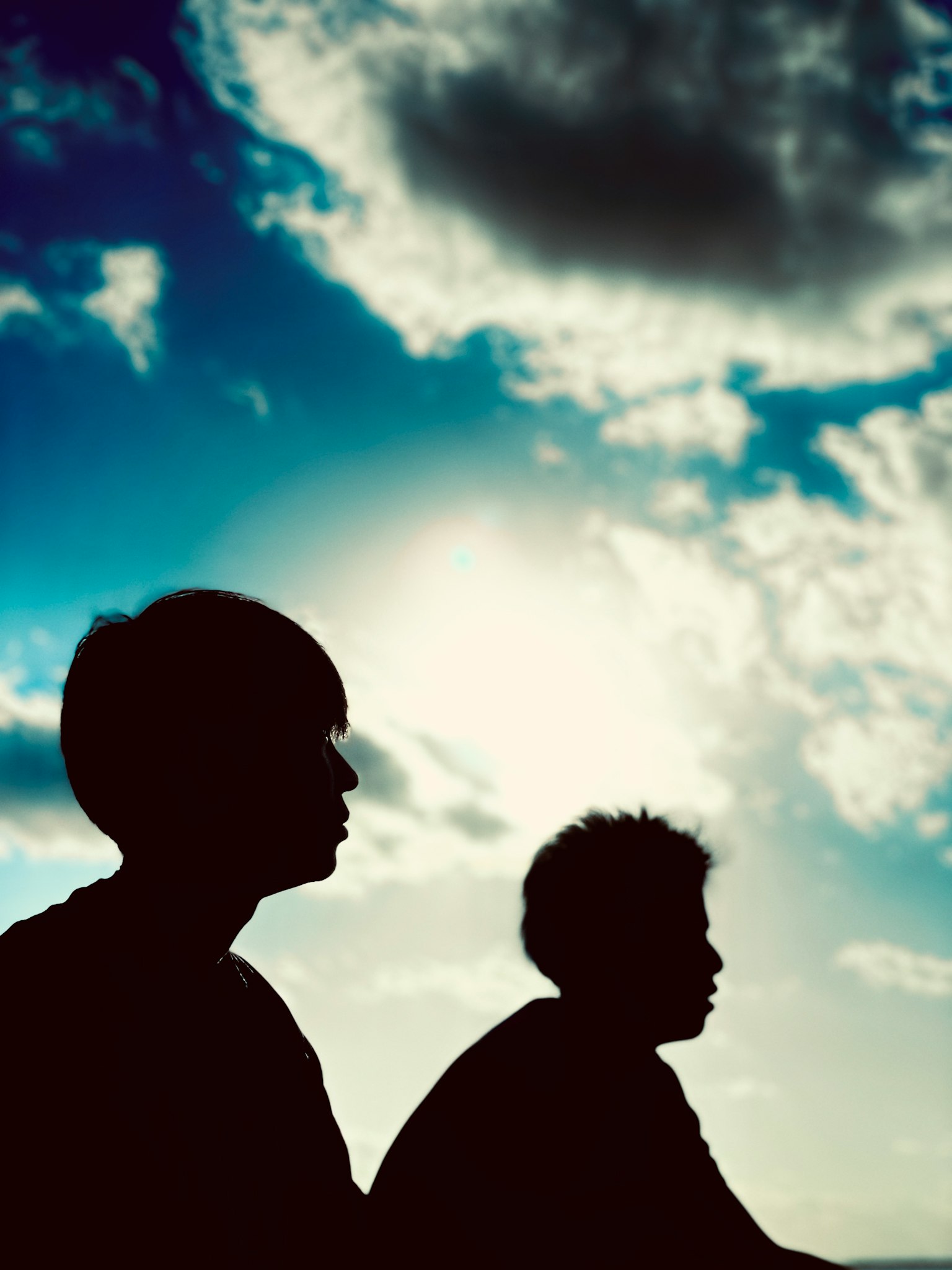 二人のシルエットが青空と雲の背景に映える