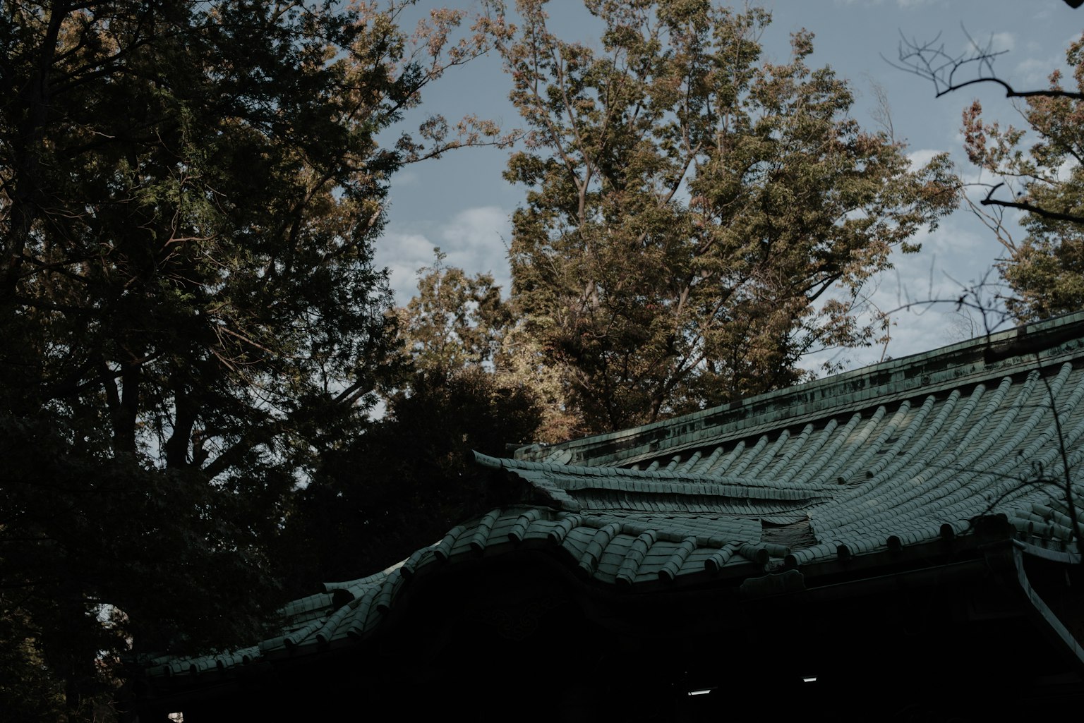 安靜的場景，特色綠色屋頂和周圍樹木