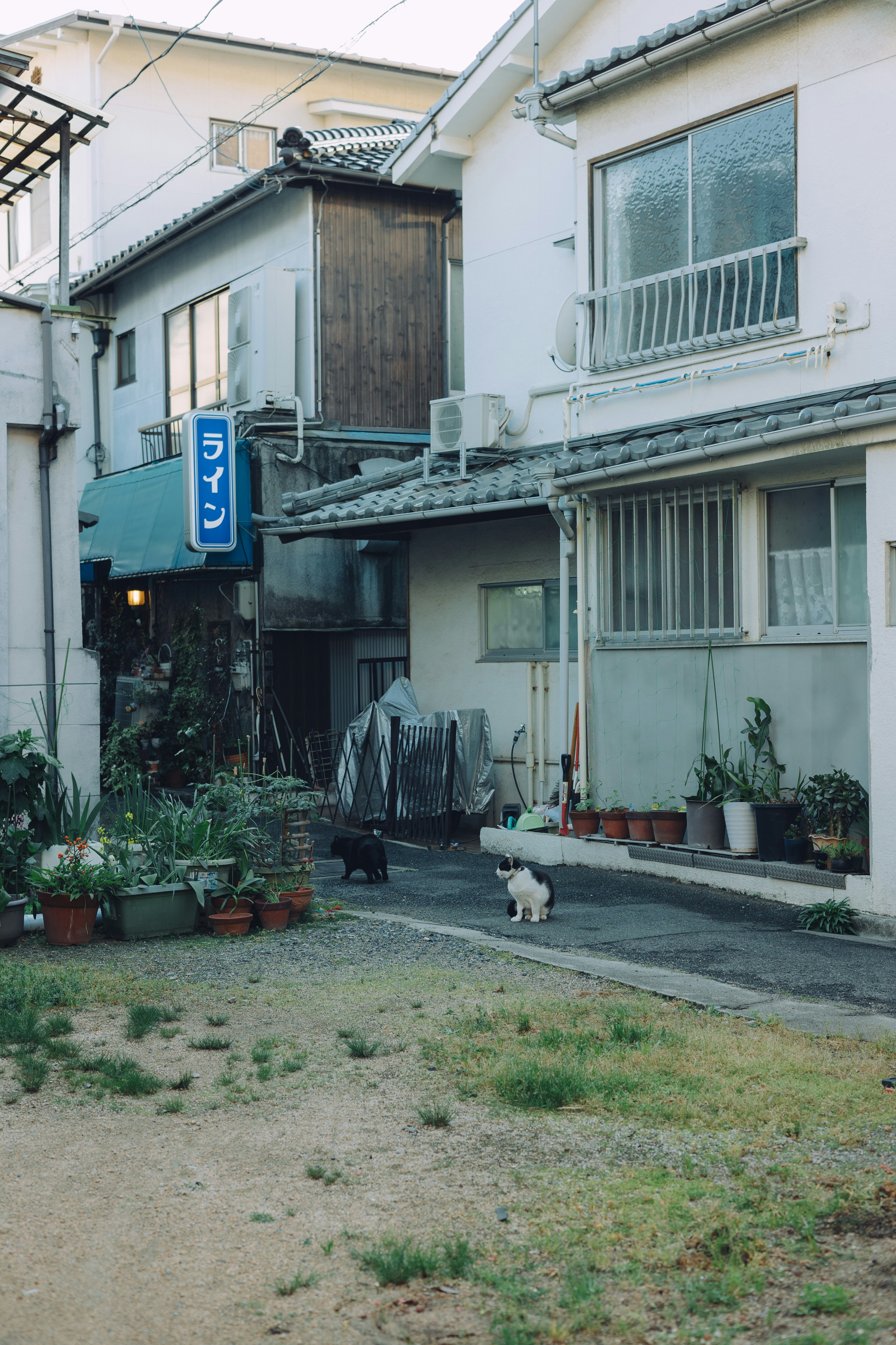 中庭のある町家風の路地住宅と植木鉢