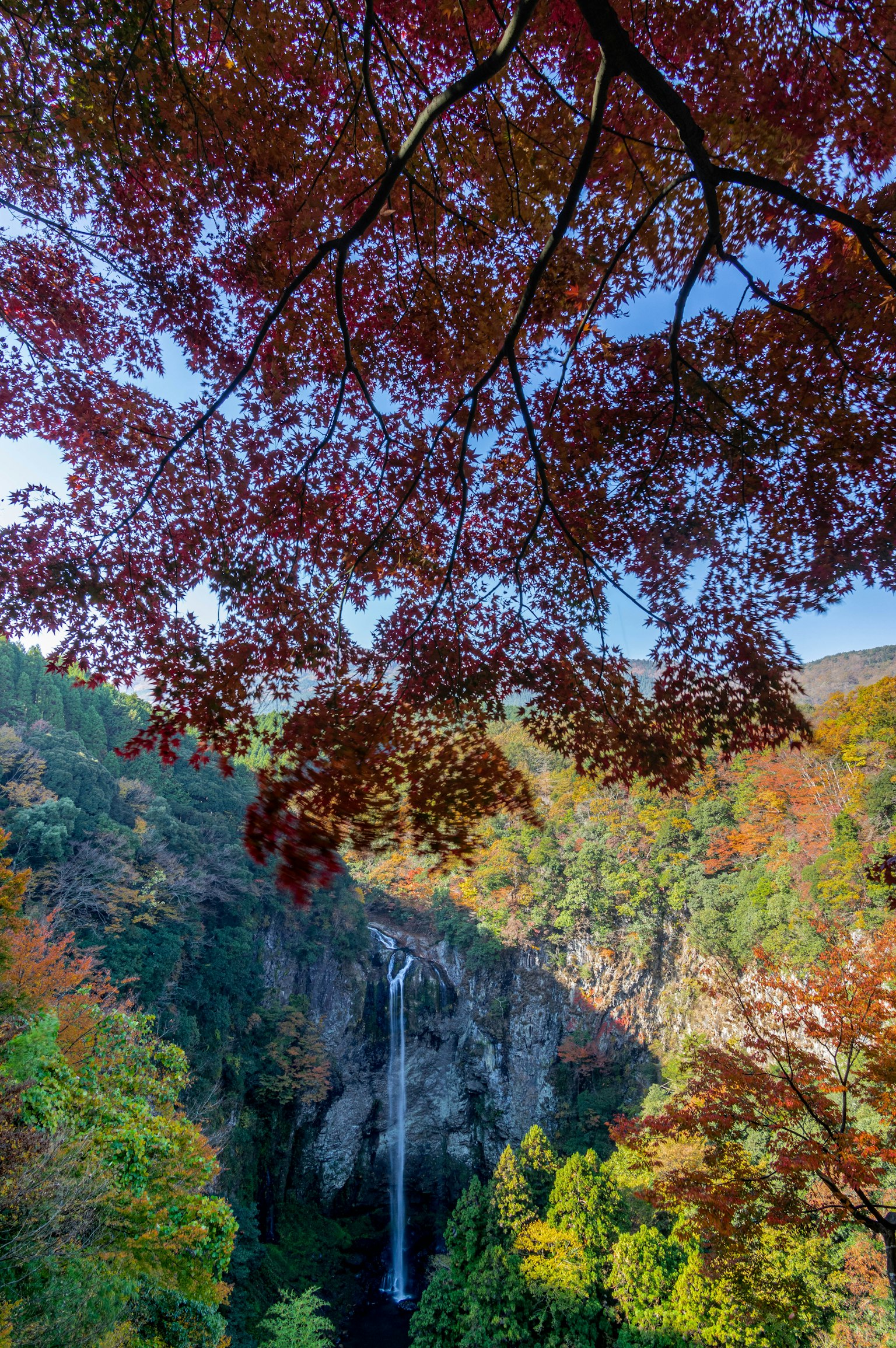 ทิวทัศน์ที่สวยงามของน้ำตกที่มองผ่านใบไม้ฤดูใบไม้ร่วงที่มีสีสัน