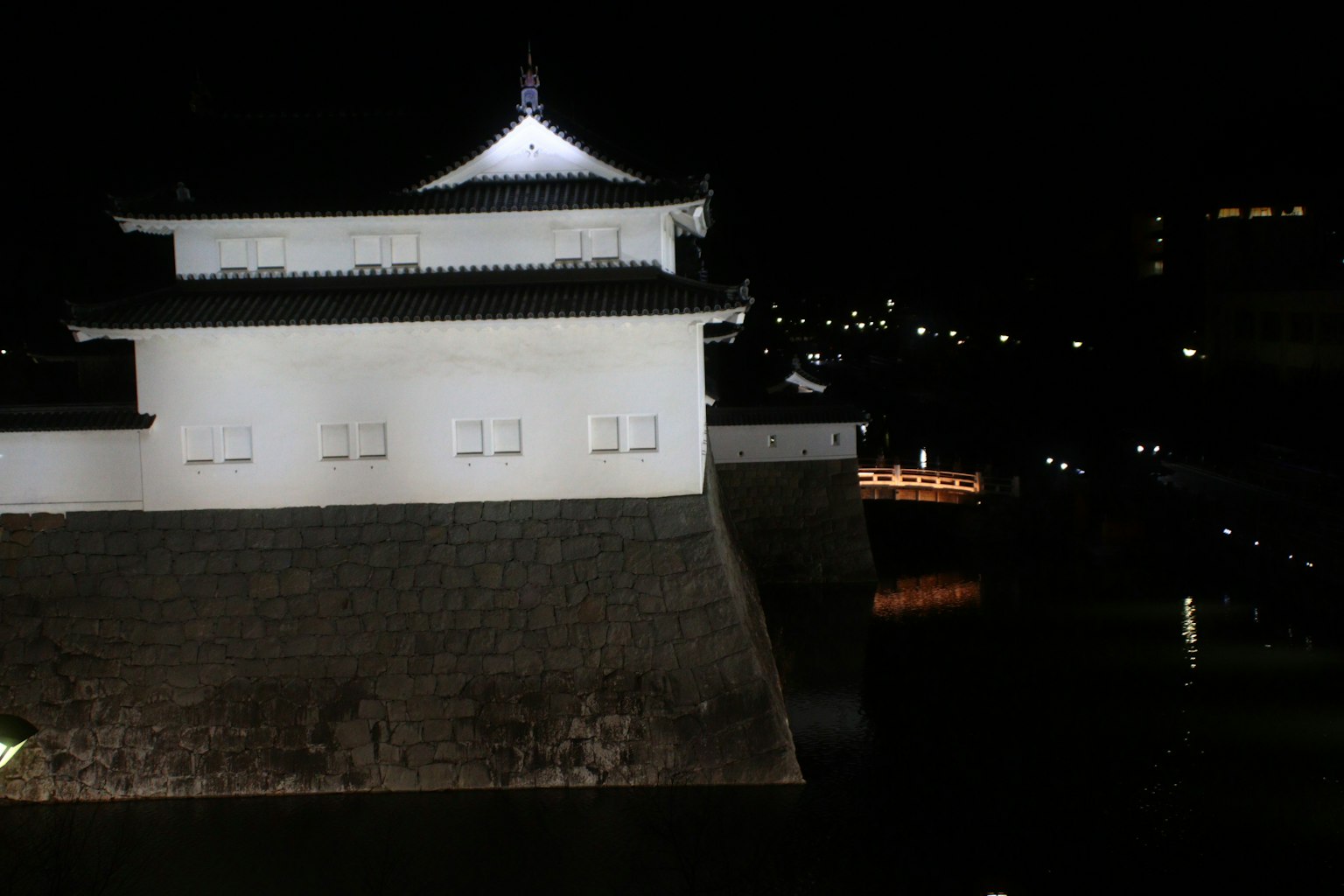 Castello bianco di notte con paesaggio circostante