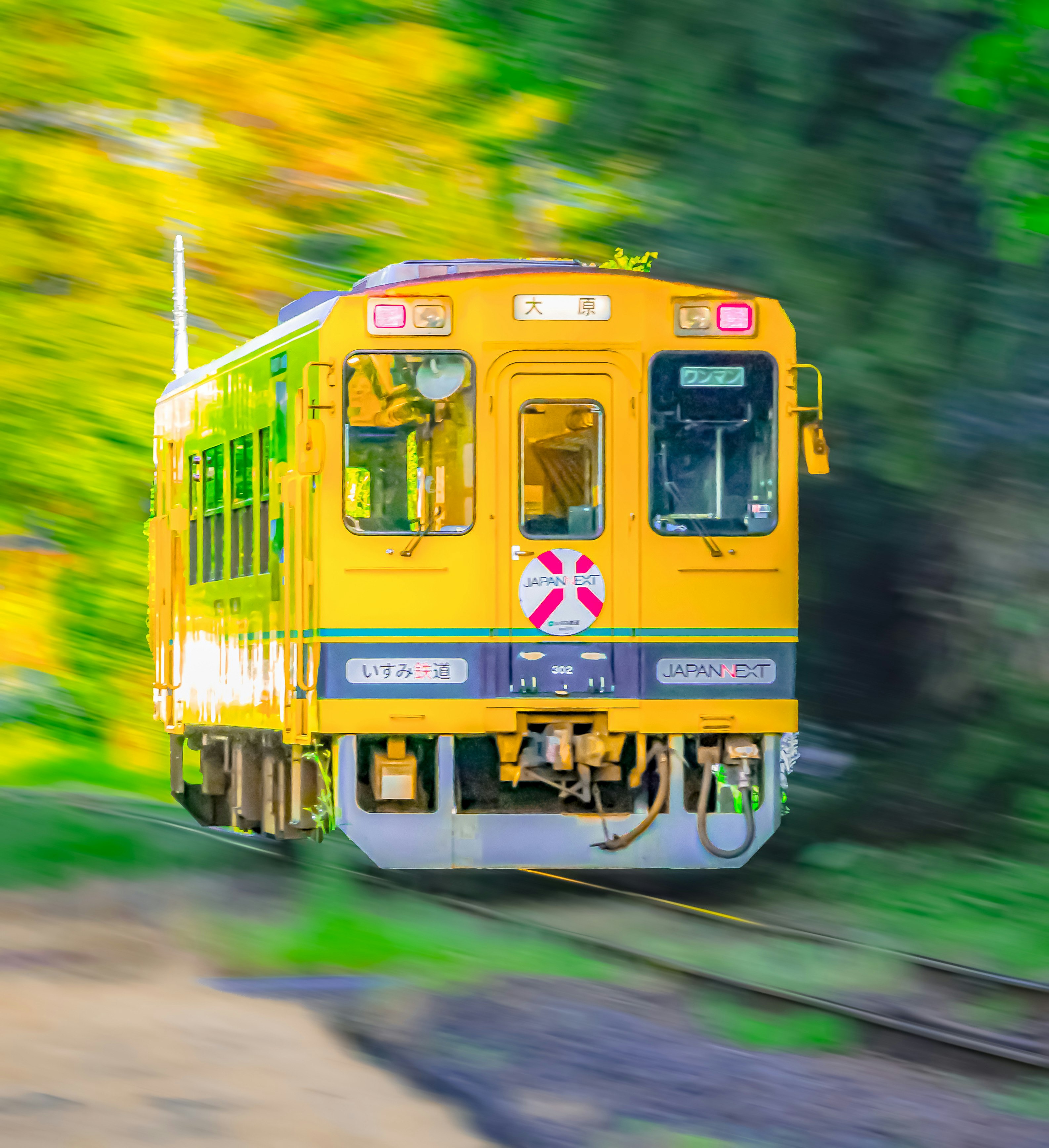 vista frontal de un tren circulando entre vegetación exuberante