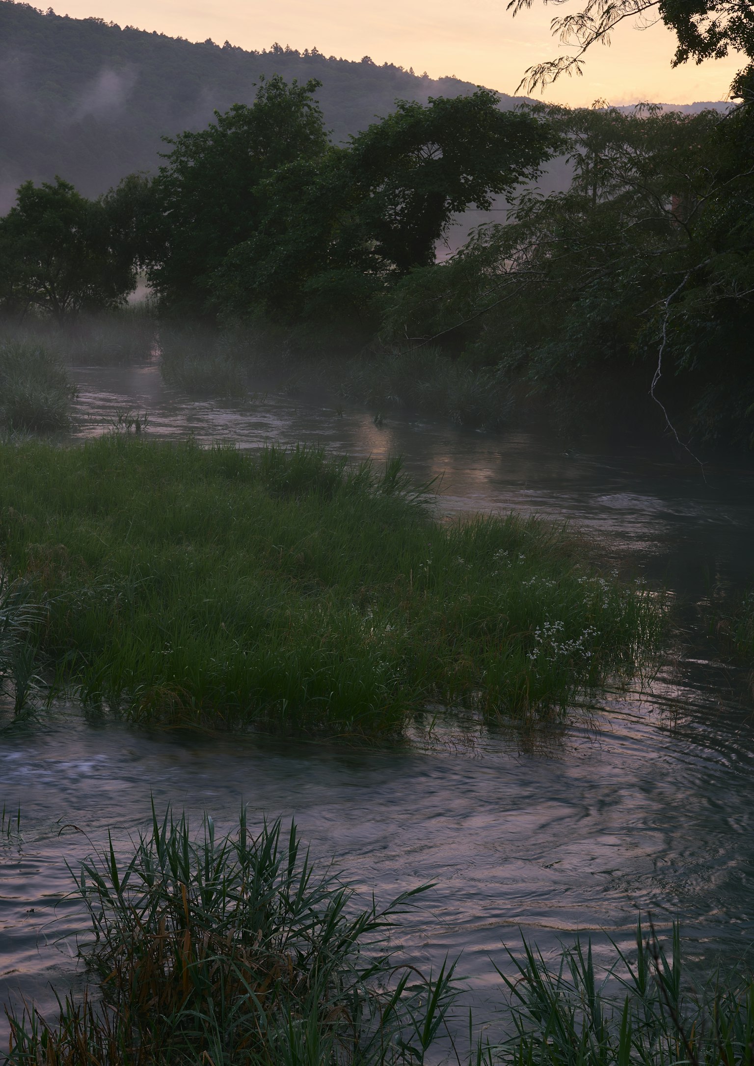 photo-axCmFAd81xE9ownHgt5m-image