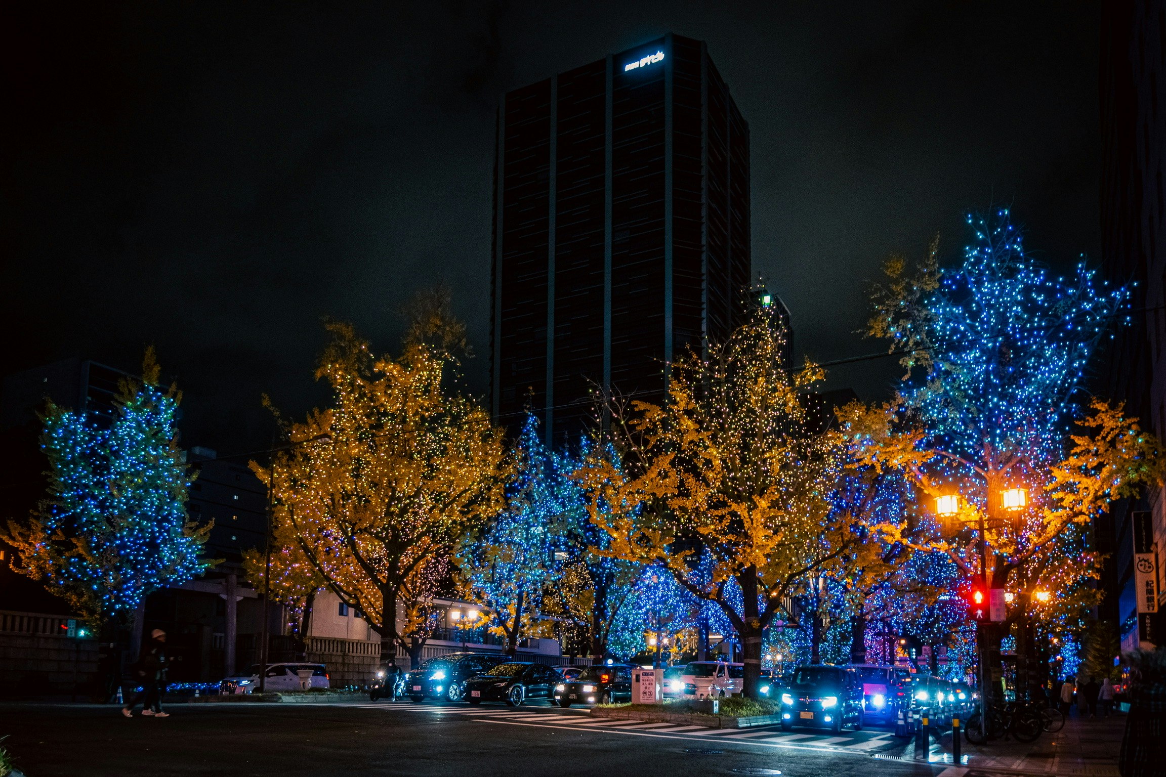 Luci notturne a Osaka con alberi illuminati e grattacielo