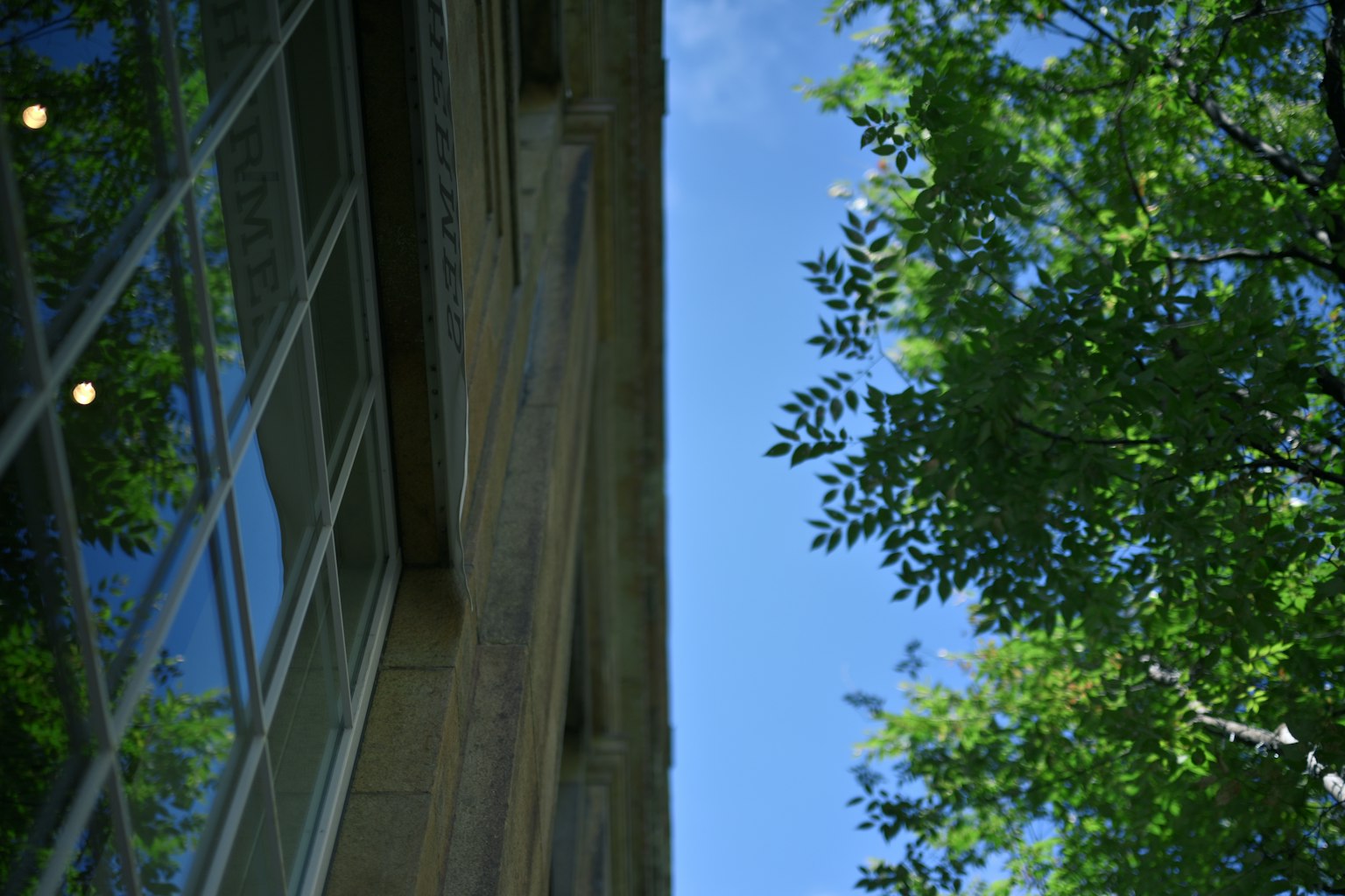 Image montrant une partie d'un bâtiment avec des arbres verts et un ciel bleu en arrière-plan