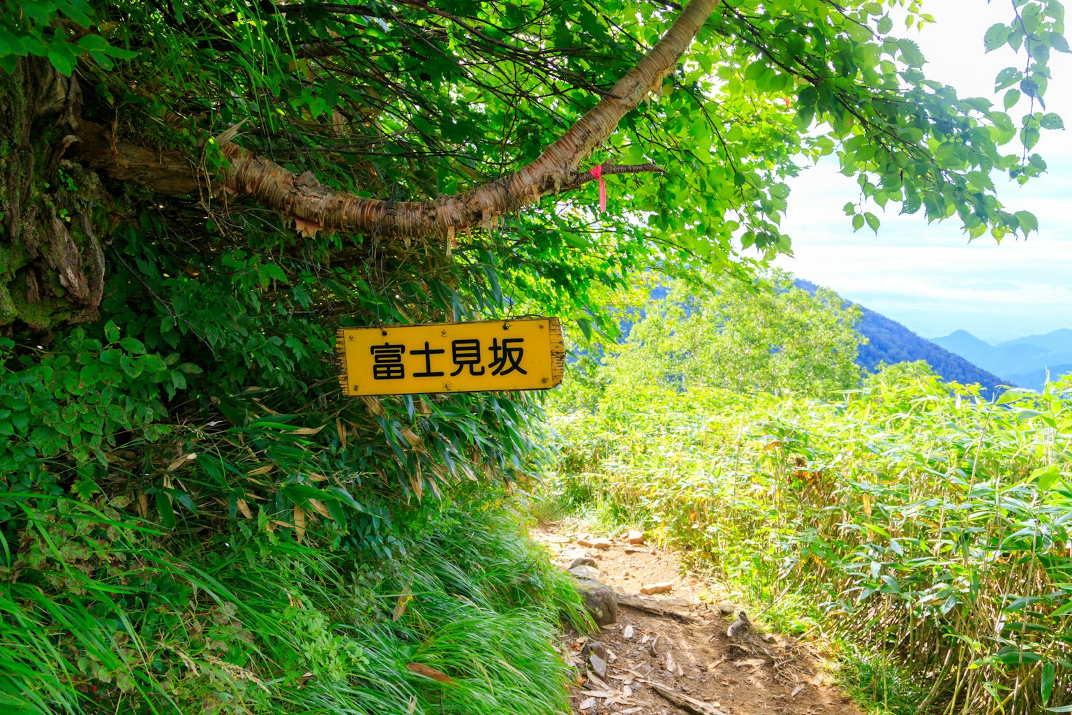 Schild für Fujimi Saka unter einem Baum auf einem grünen Pfad