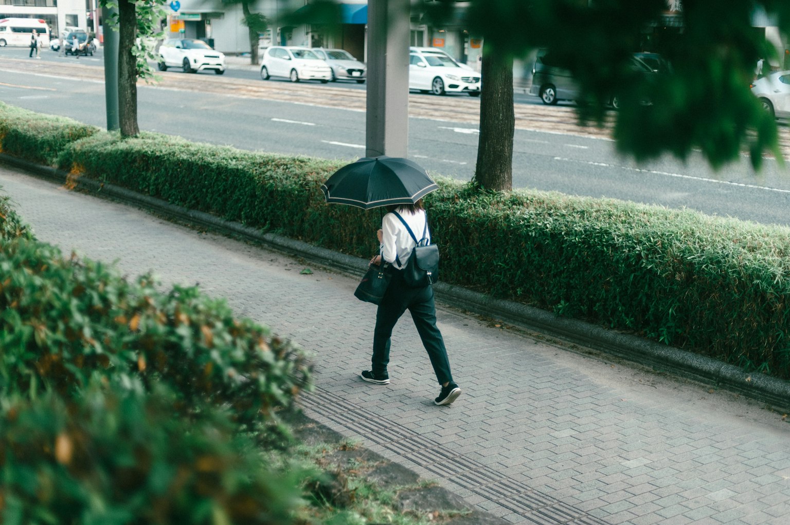Person walking with an umbrella on a paved sidewalk surrounded by greenery