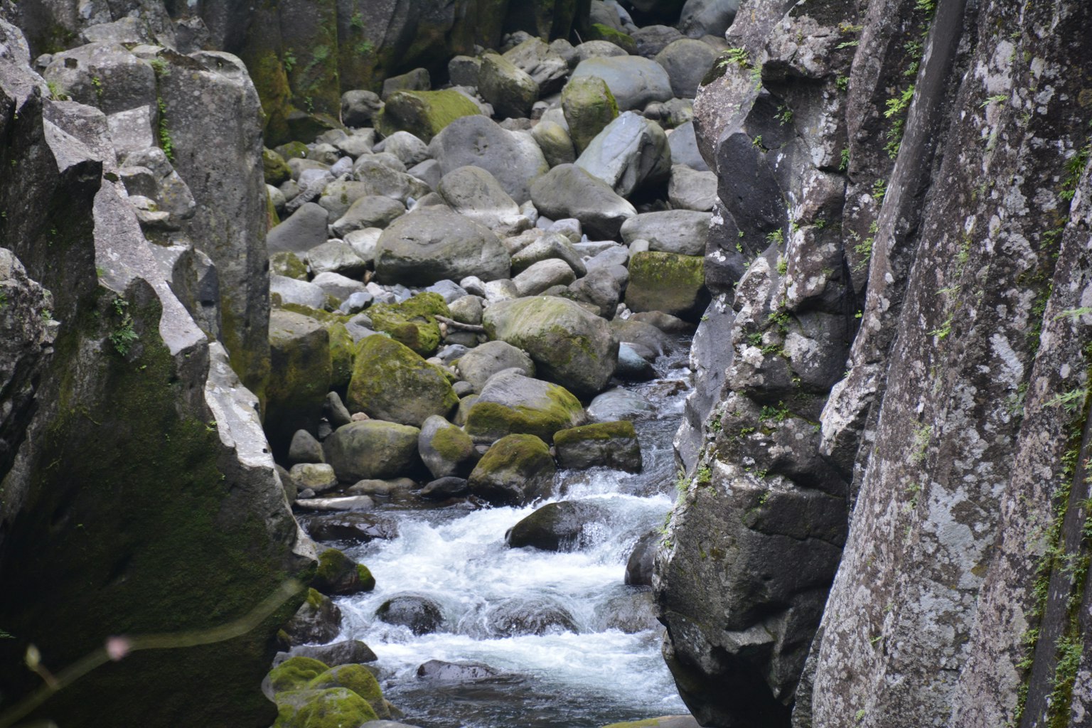 自然景观，包含流动的河流和岩石地形