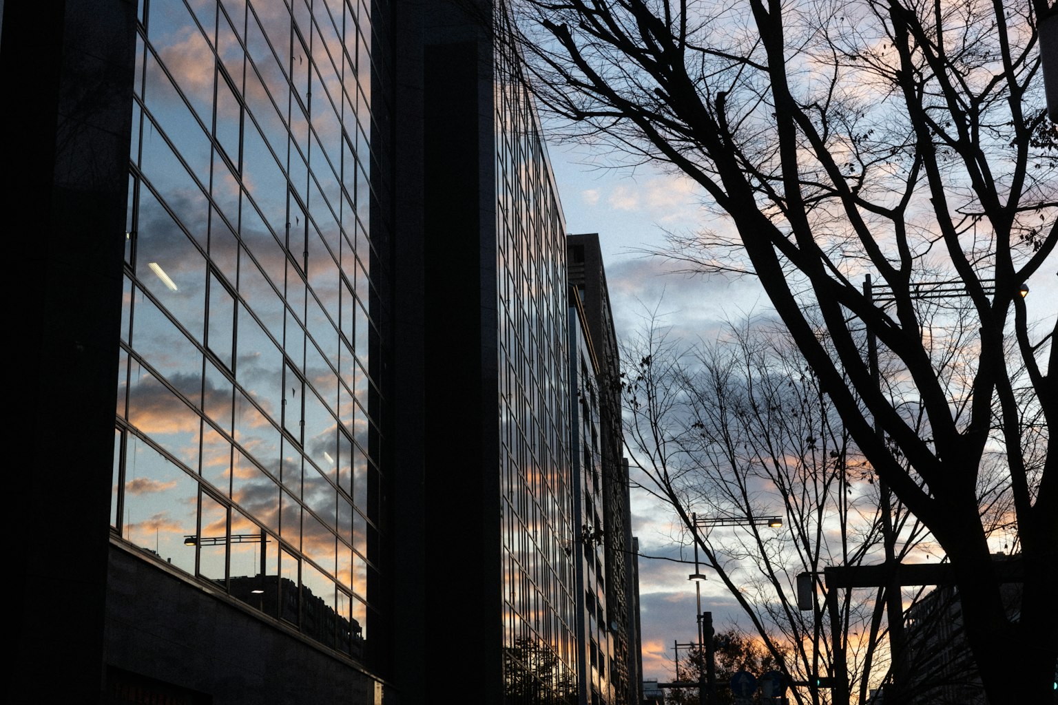 Edifici che riflettono un tramonto colorato con sagome di alberi