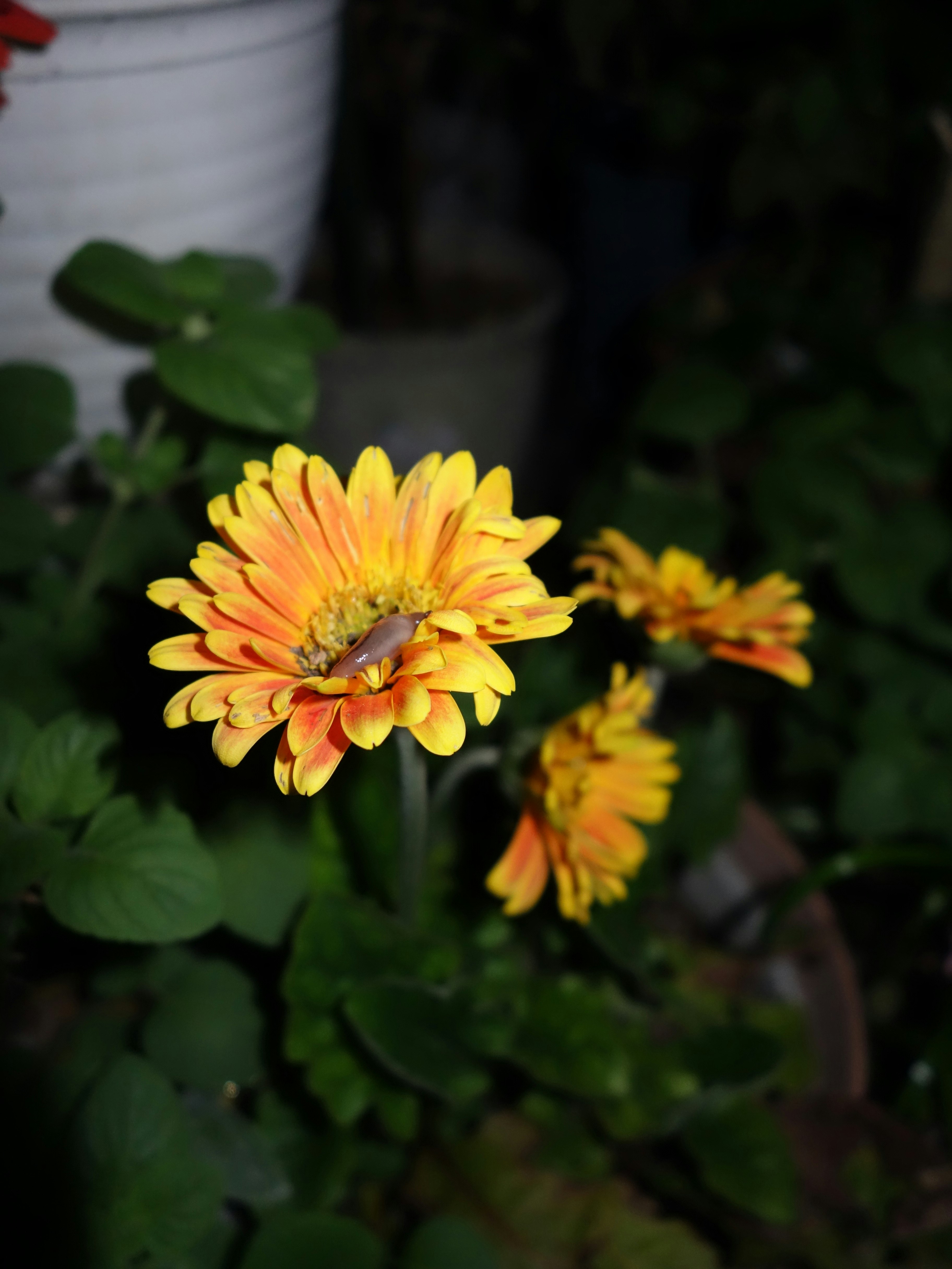 photo-azLhhy9gamiF3H6ZTLON-image