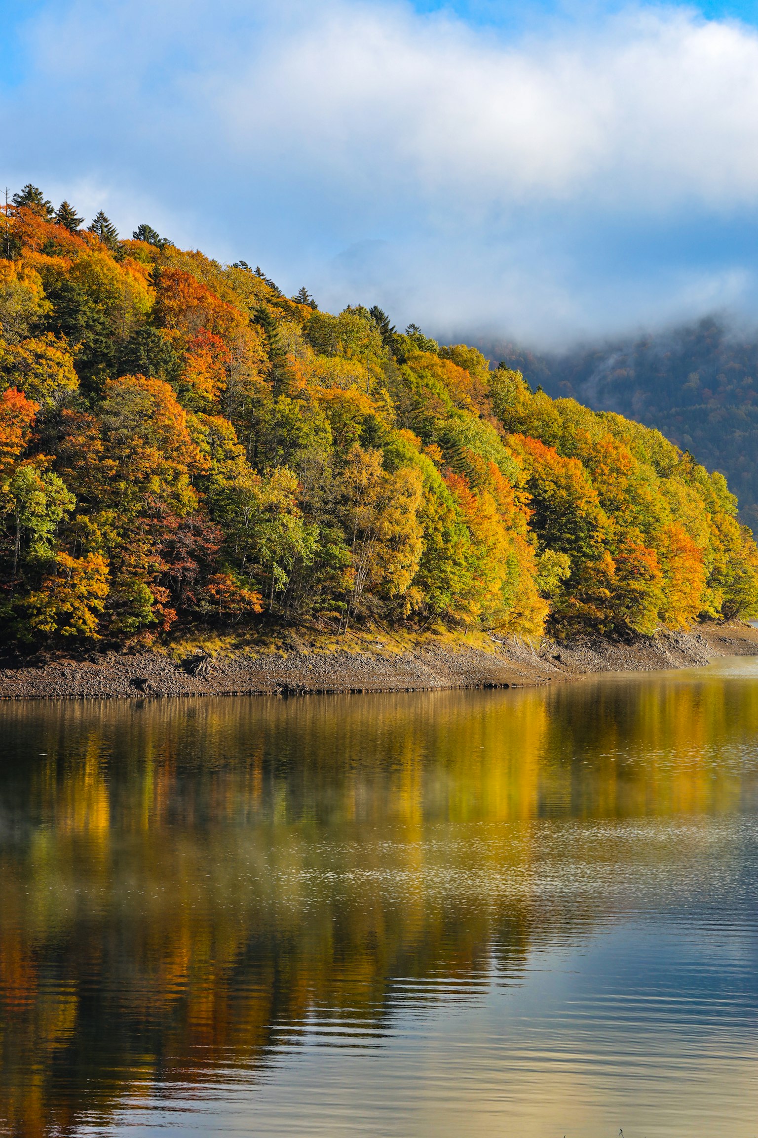 Un paesaggio con alberi dai colori autunnali che si riflettono in un lago