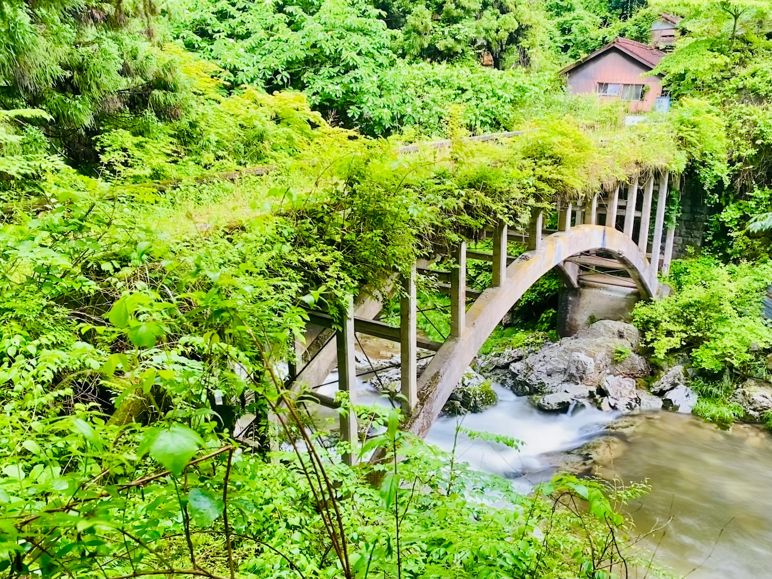 Jembatan kayu melengkung dikelilingi oleh pepohonan hijau lebat dengan sungai yang mengalir
