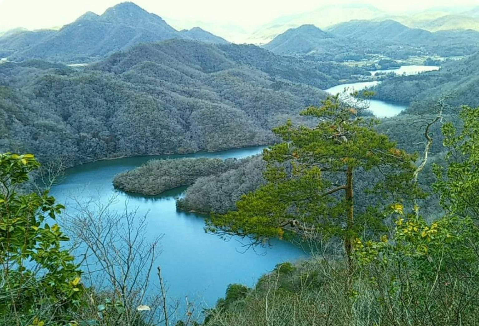 Vue panoramique d'un lac entouré de montagnes et d'arbres verts