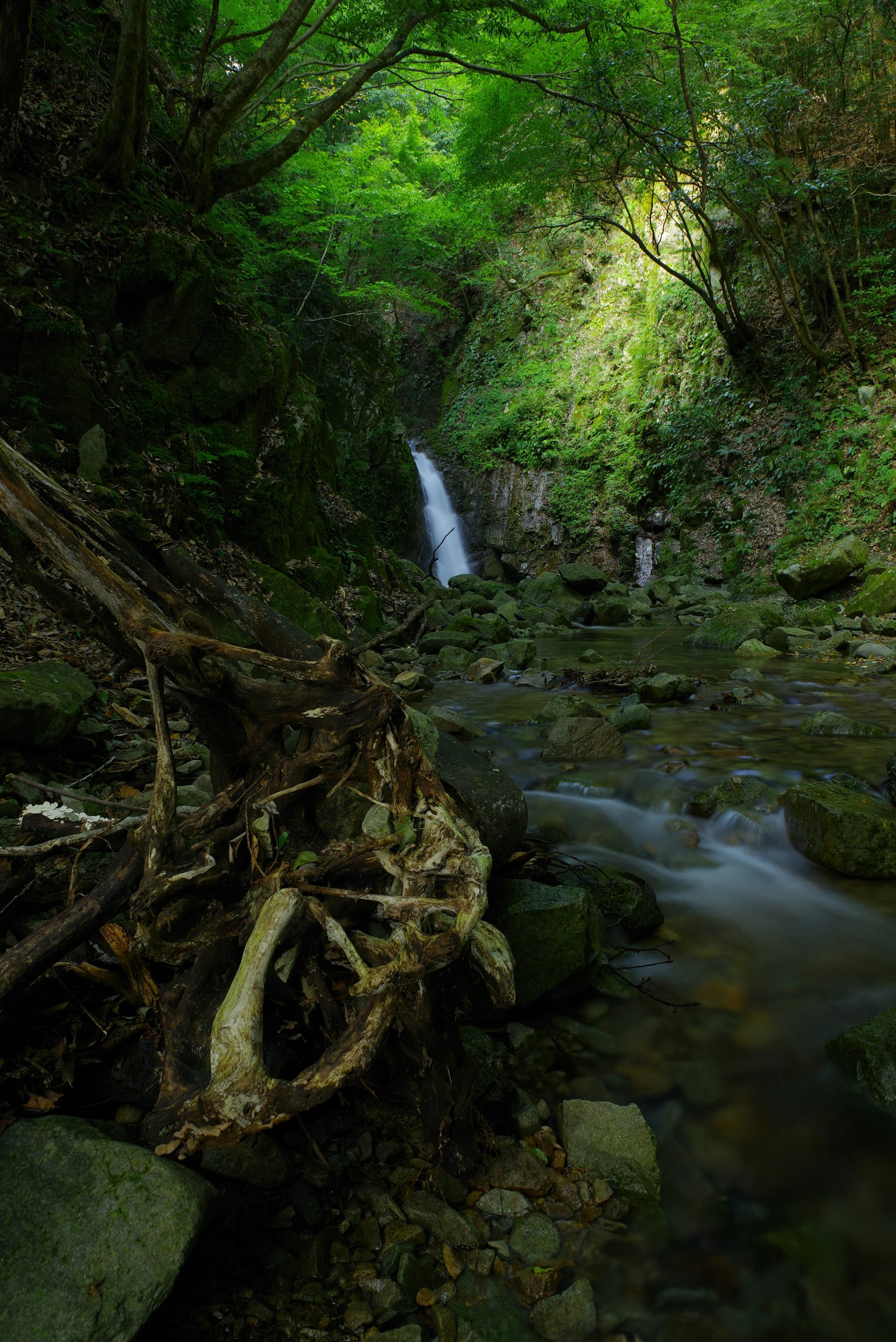 Pemandangan indah aliran air dan air terjun di lembah hijau