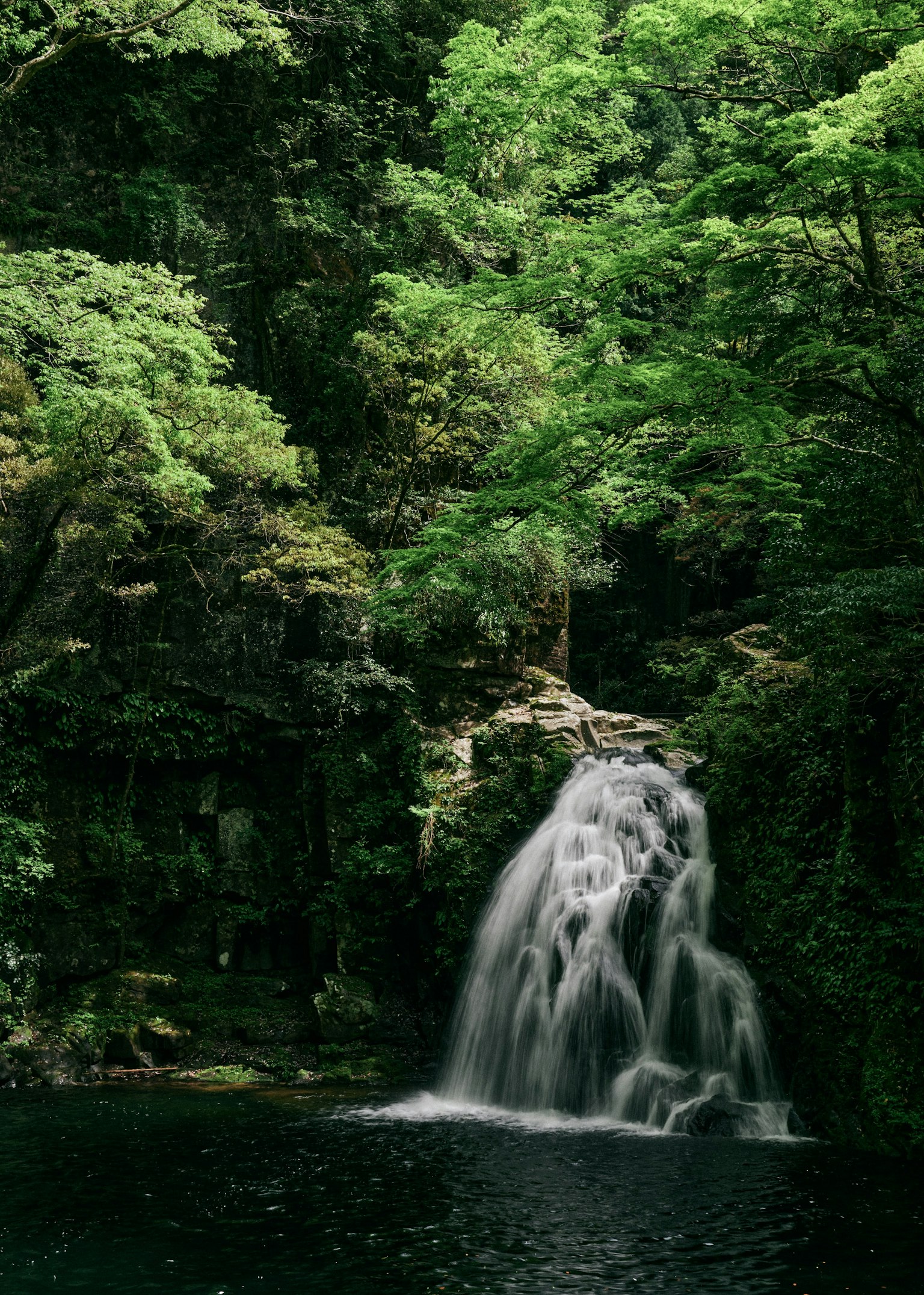 Sebuah air terjun yang indah mengalir di hutan hijau yang rimbun