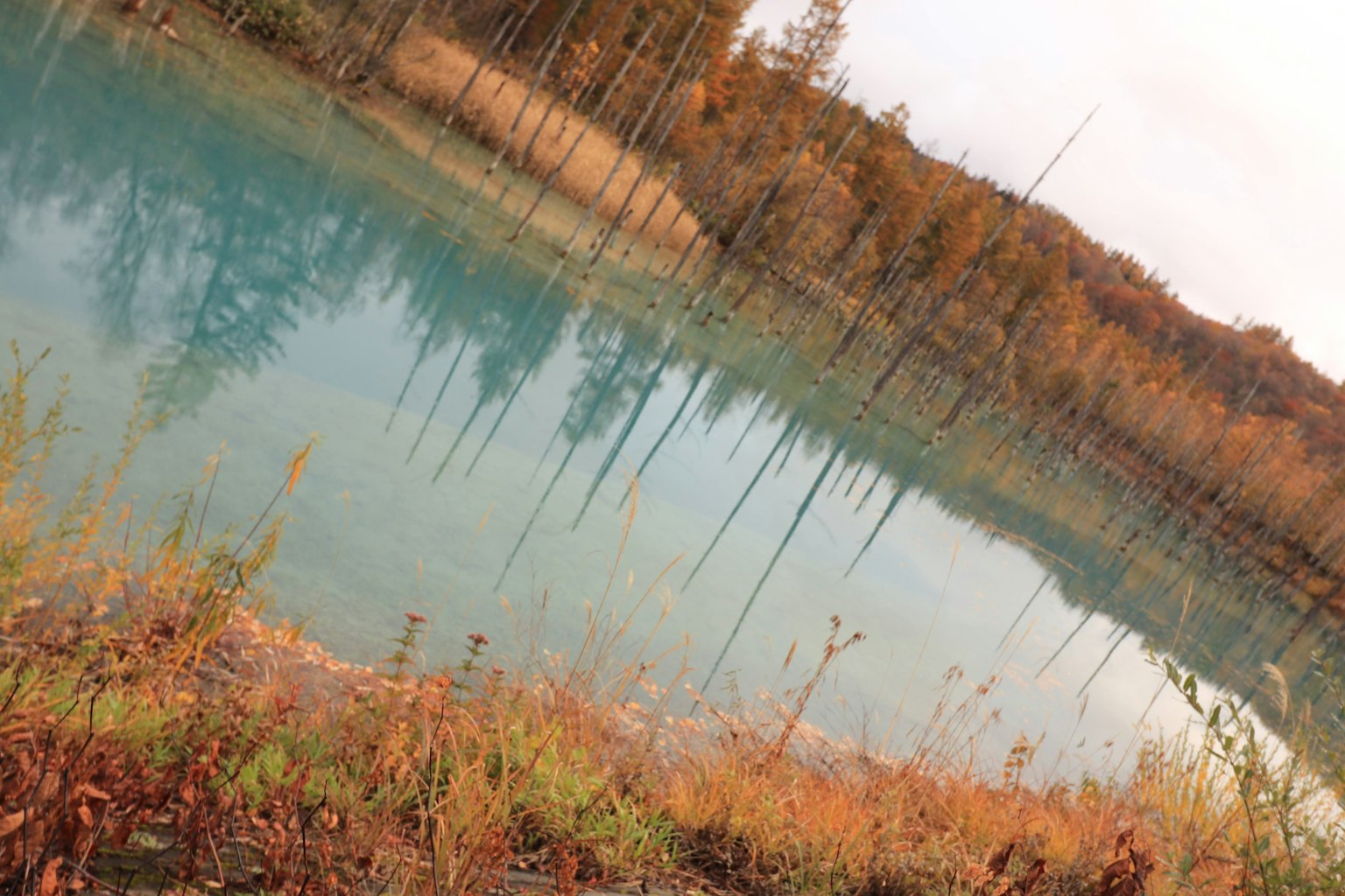 Lac serein reflétant de l'eau bleue et des arbres aux couleurs d'automne