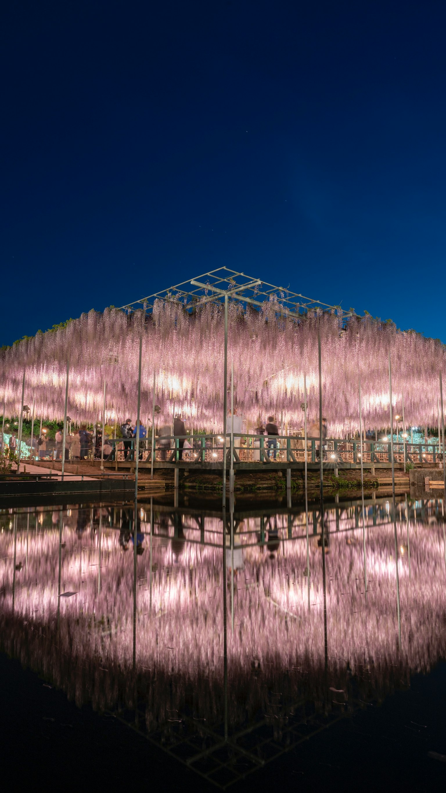夜空下水面上倒映著壯觀的建築結構