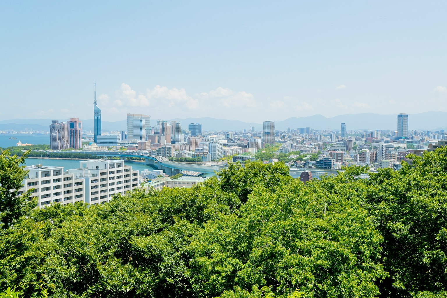 Cityscape view from a green hill featuring Tokyo Skytree in the background
